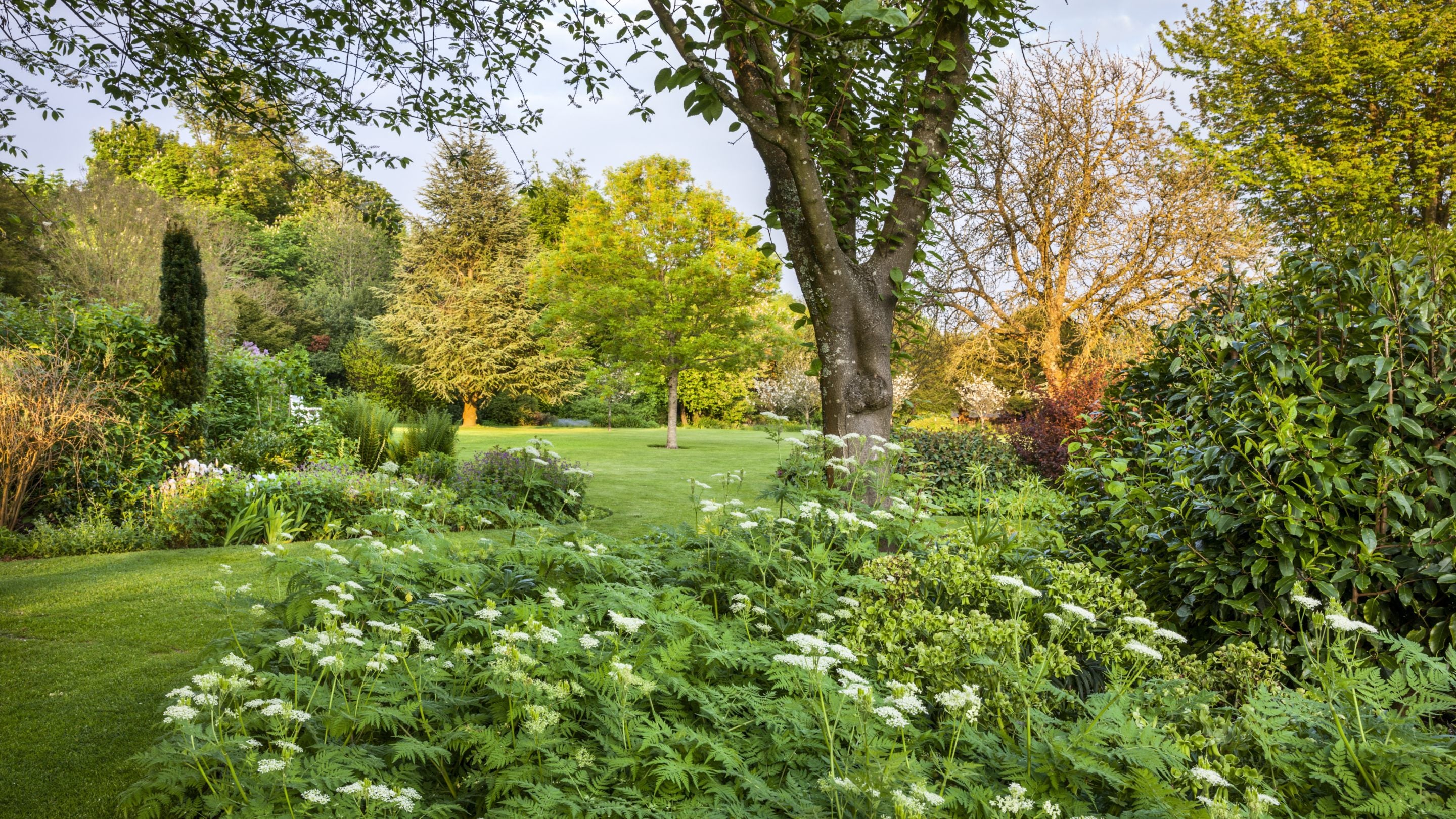 Curved borders with flowers in bloom, lawns and trees at Uppark, West Sussex