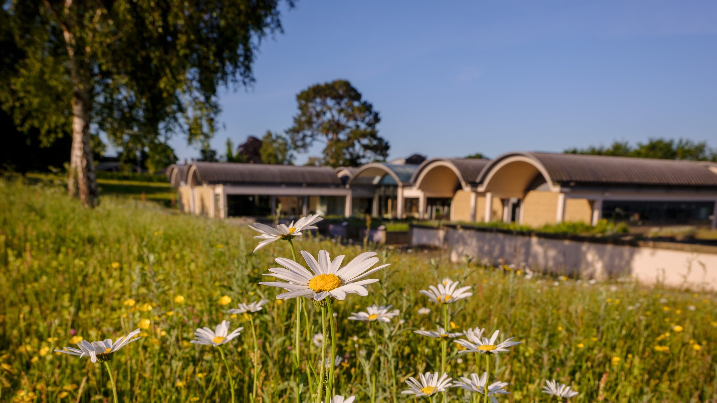 Millenium Seed Bank in summer at Wakehurst
