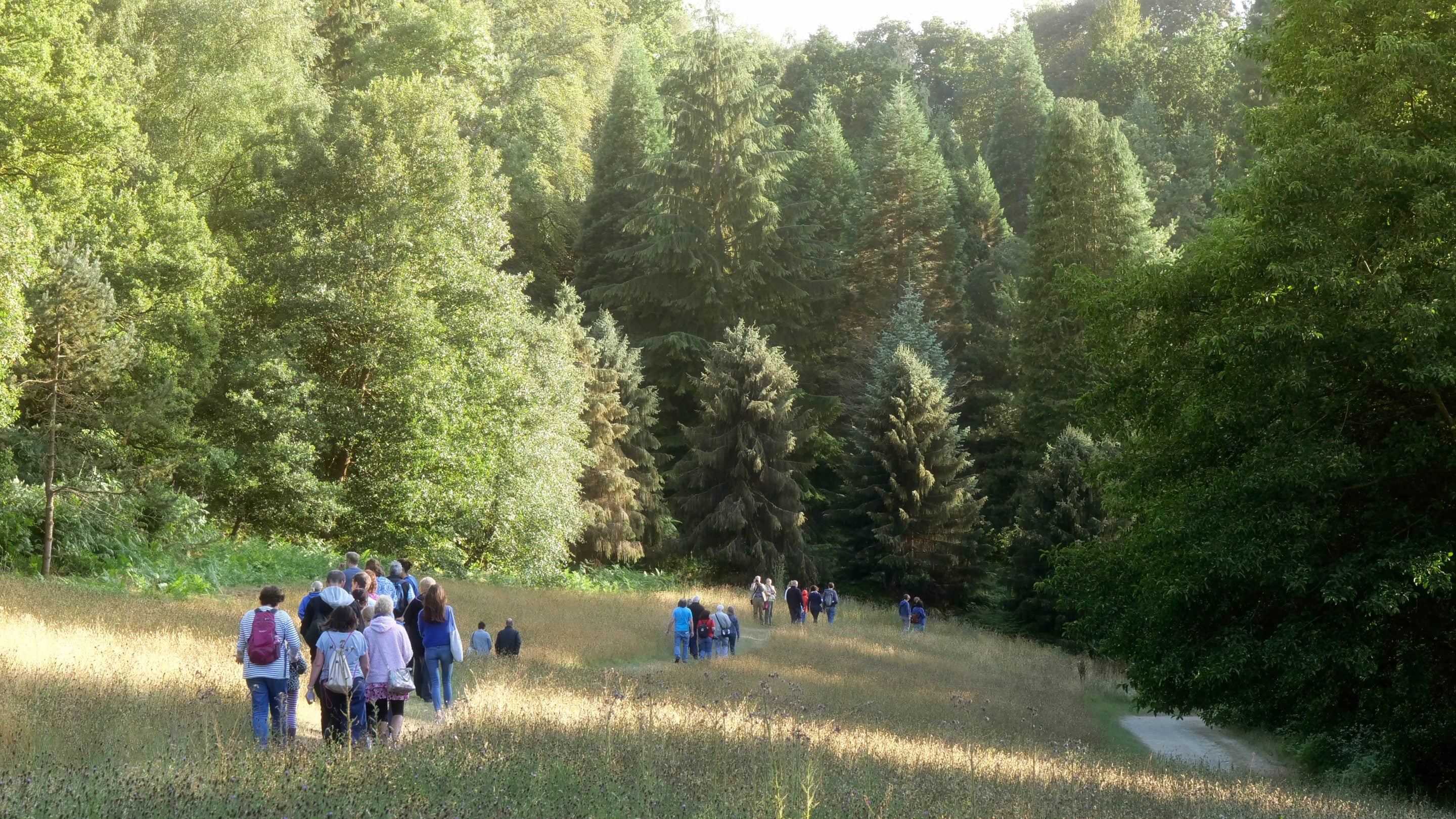 Visitors walking along a path through grass, bordered by woods in the wild landscape of Wakehurst, West Sussex