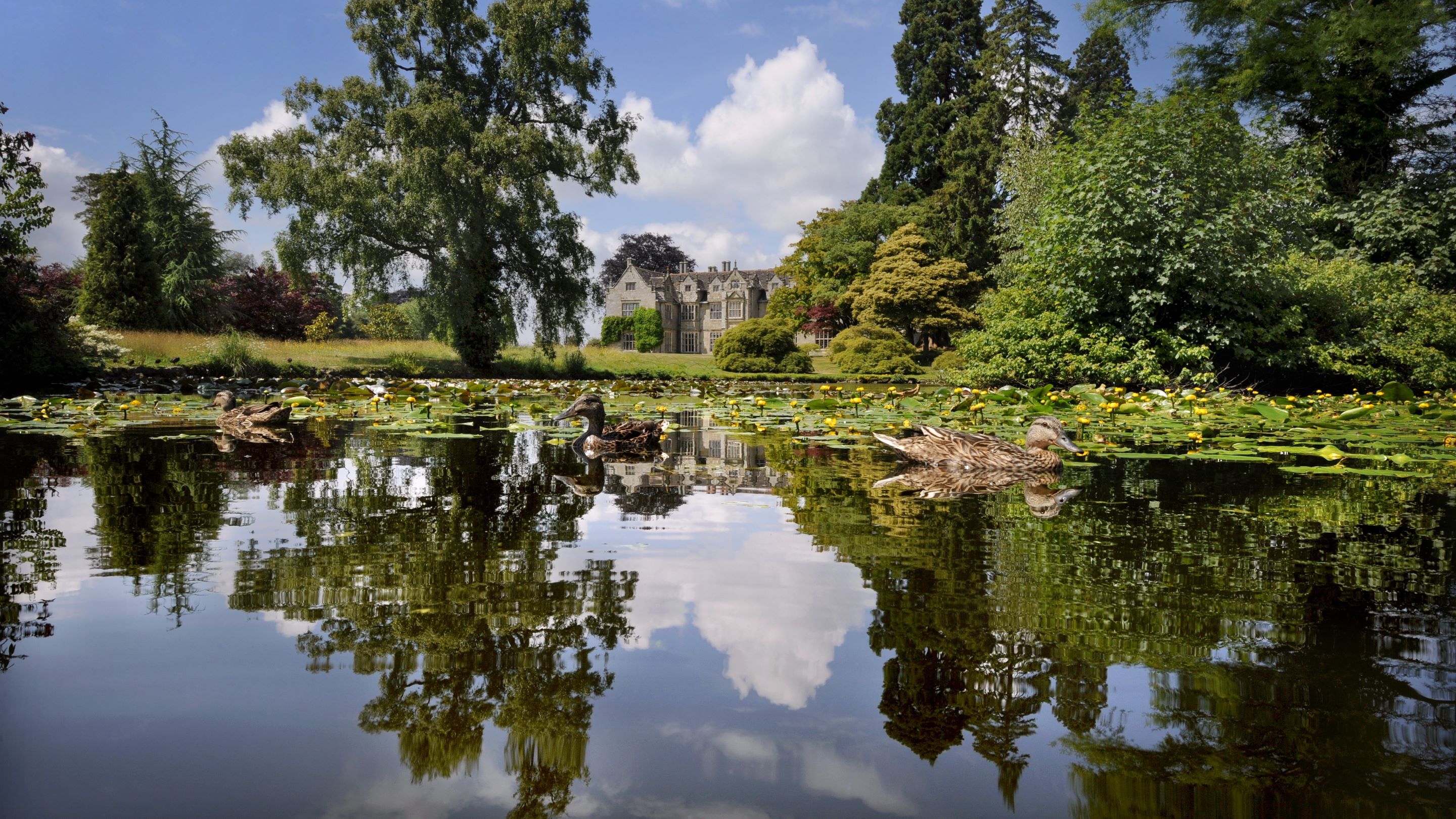 The Mansion Pond at Wakehurst