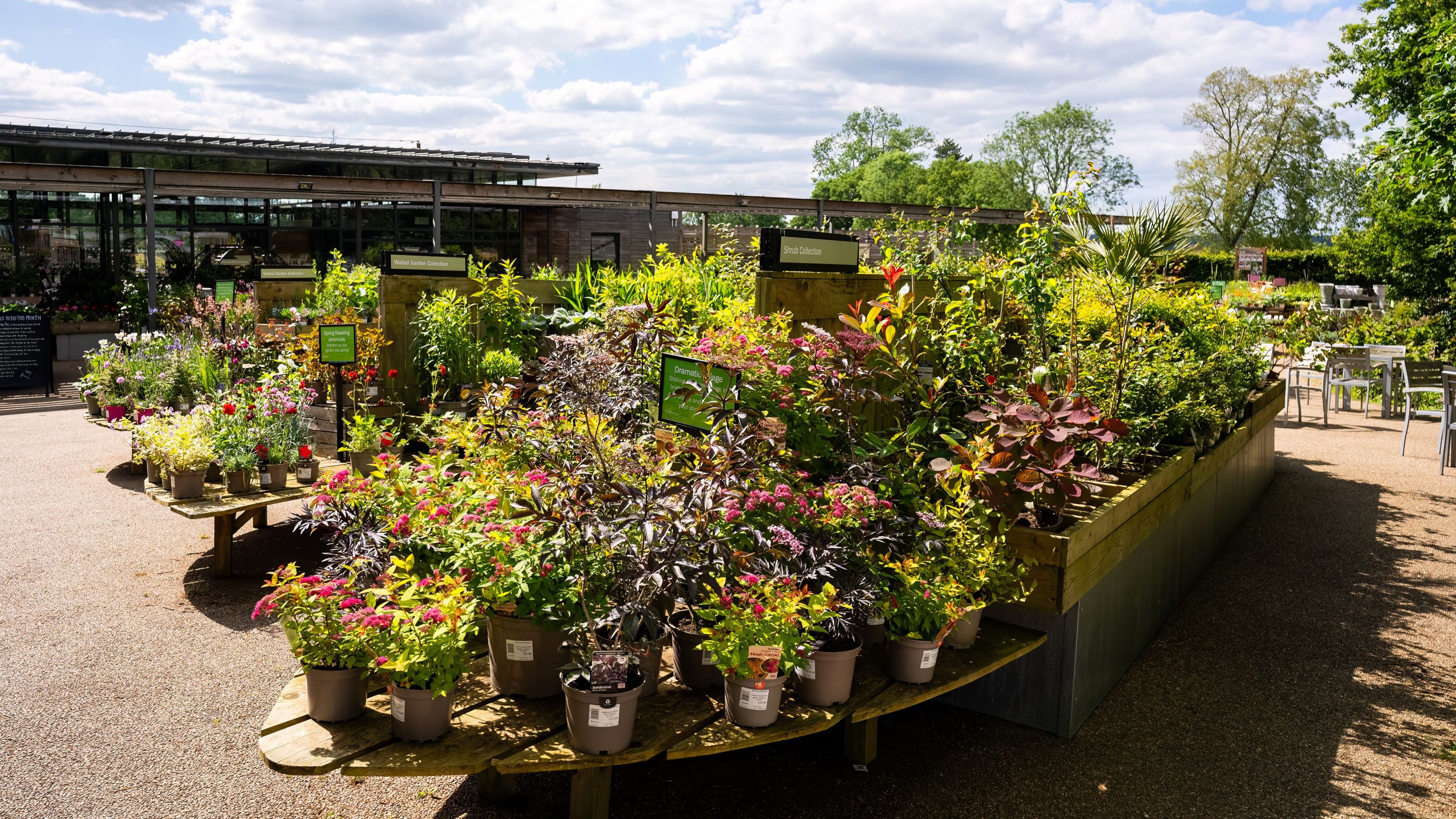 Summer garden plant sales at Wakehurst