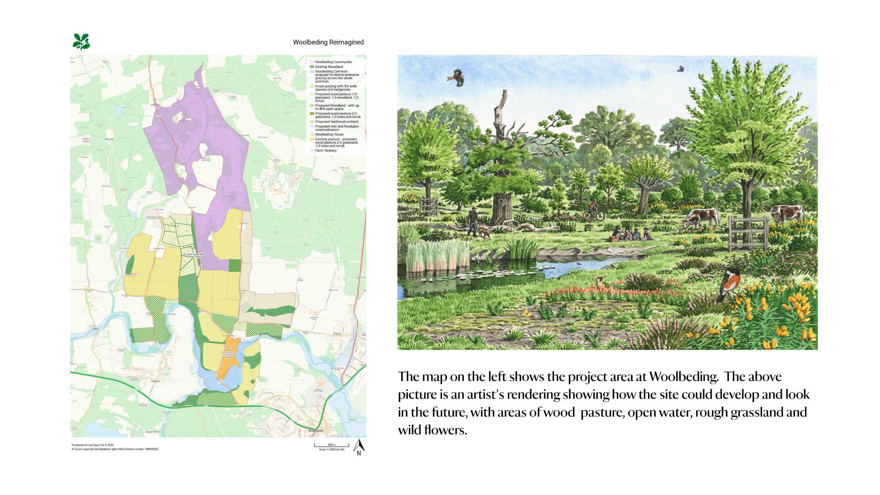 A map of the Woolbeding Reimagined project area and artists impression of how it could look