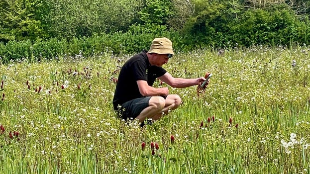 Ranger Chris Smout carries out a butterfly survey