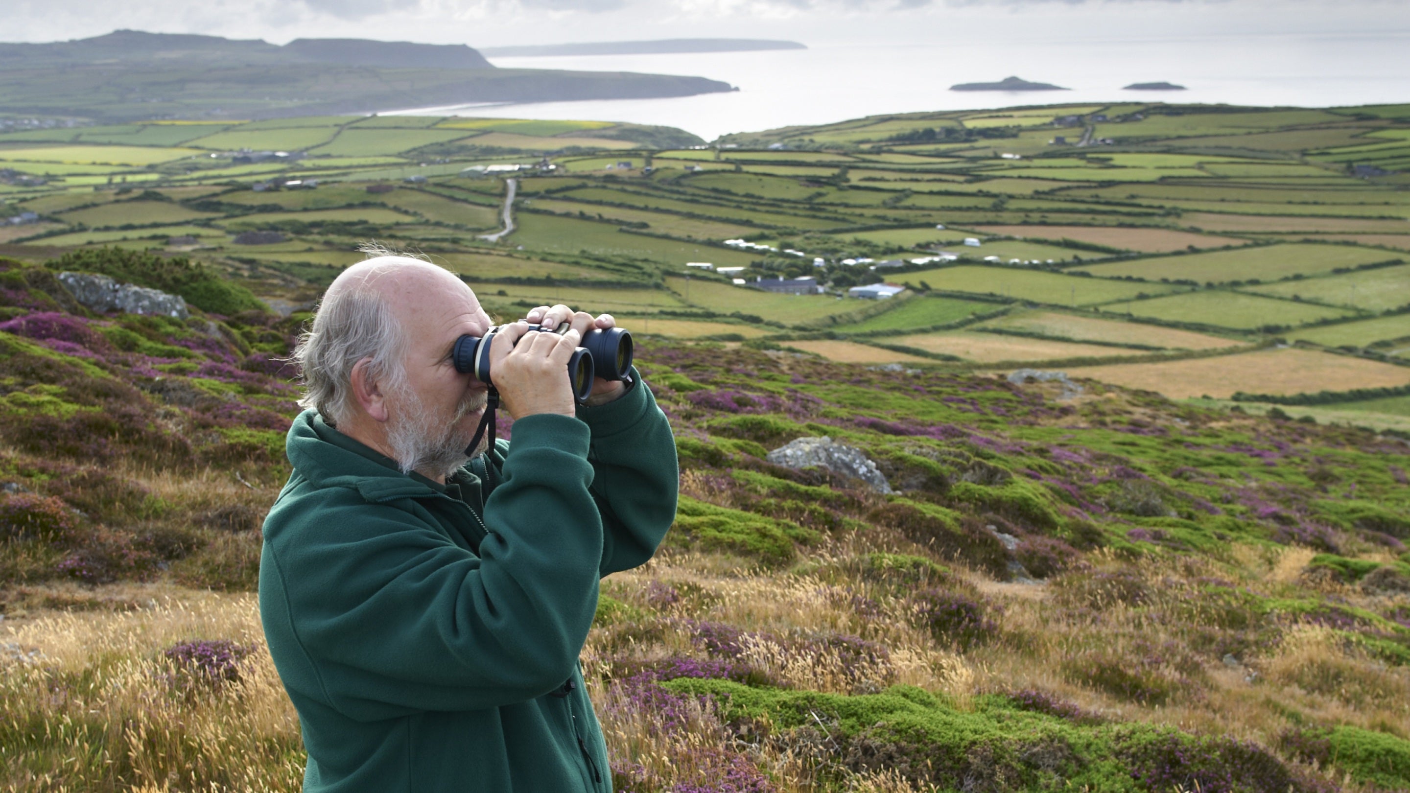 Paul Lewis, National Trust warden looking through binoculars over the Llŷn Peninsula, Gwynedd, North Wales.