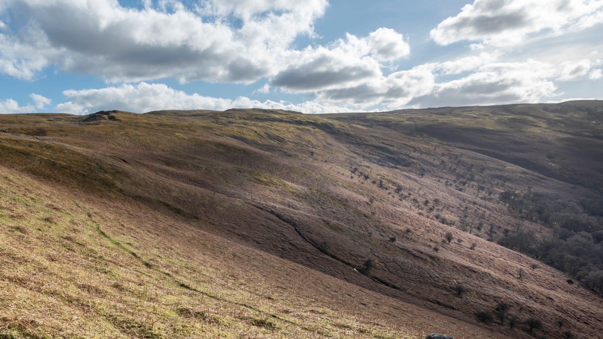 View of the bleak landscape of Abergwesyn Common, Powys in Wales