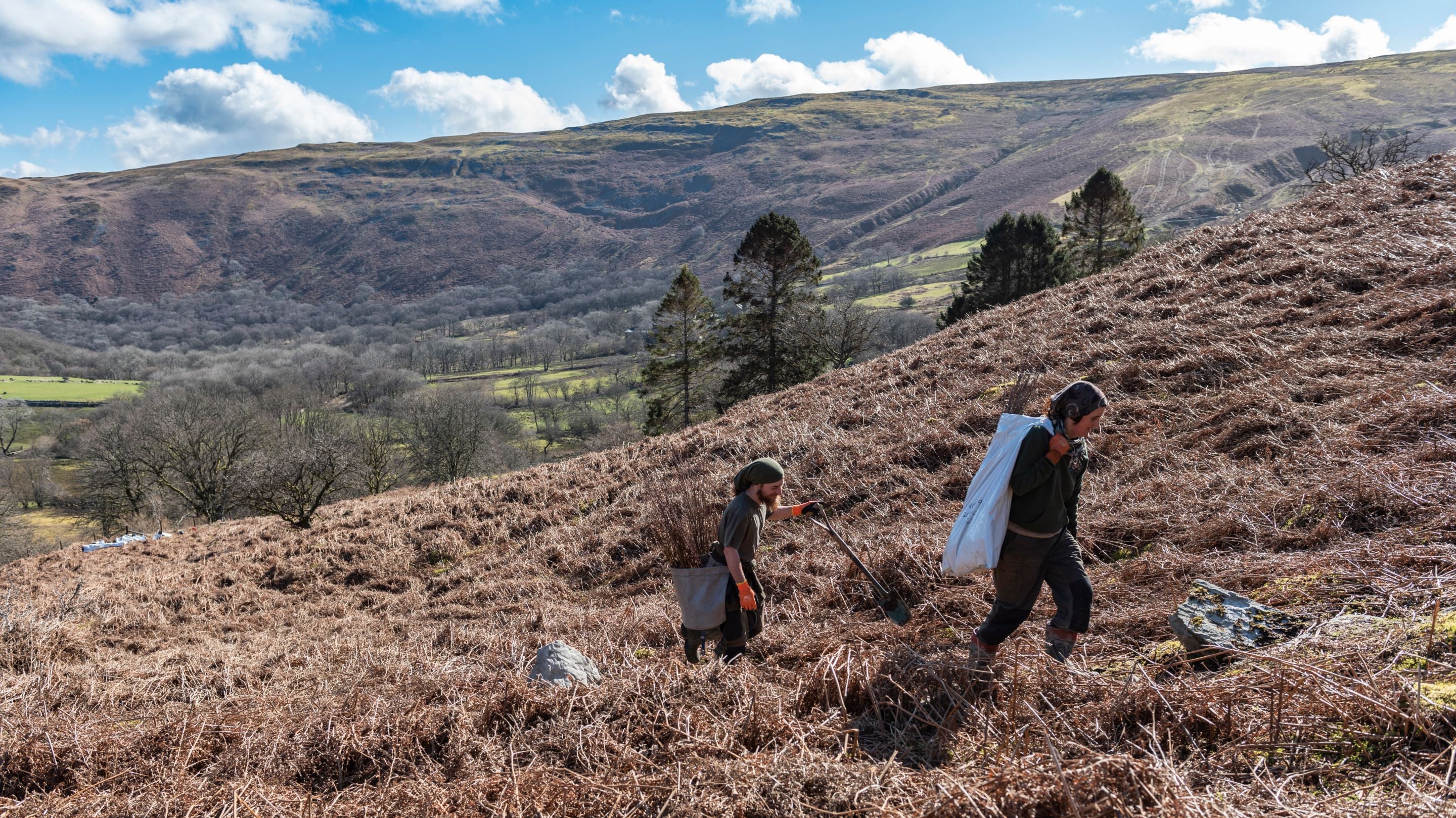 Wide shot of two volunteers walking up a hillside from left to right with blue sky behind
