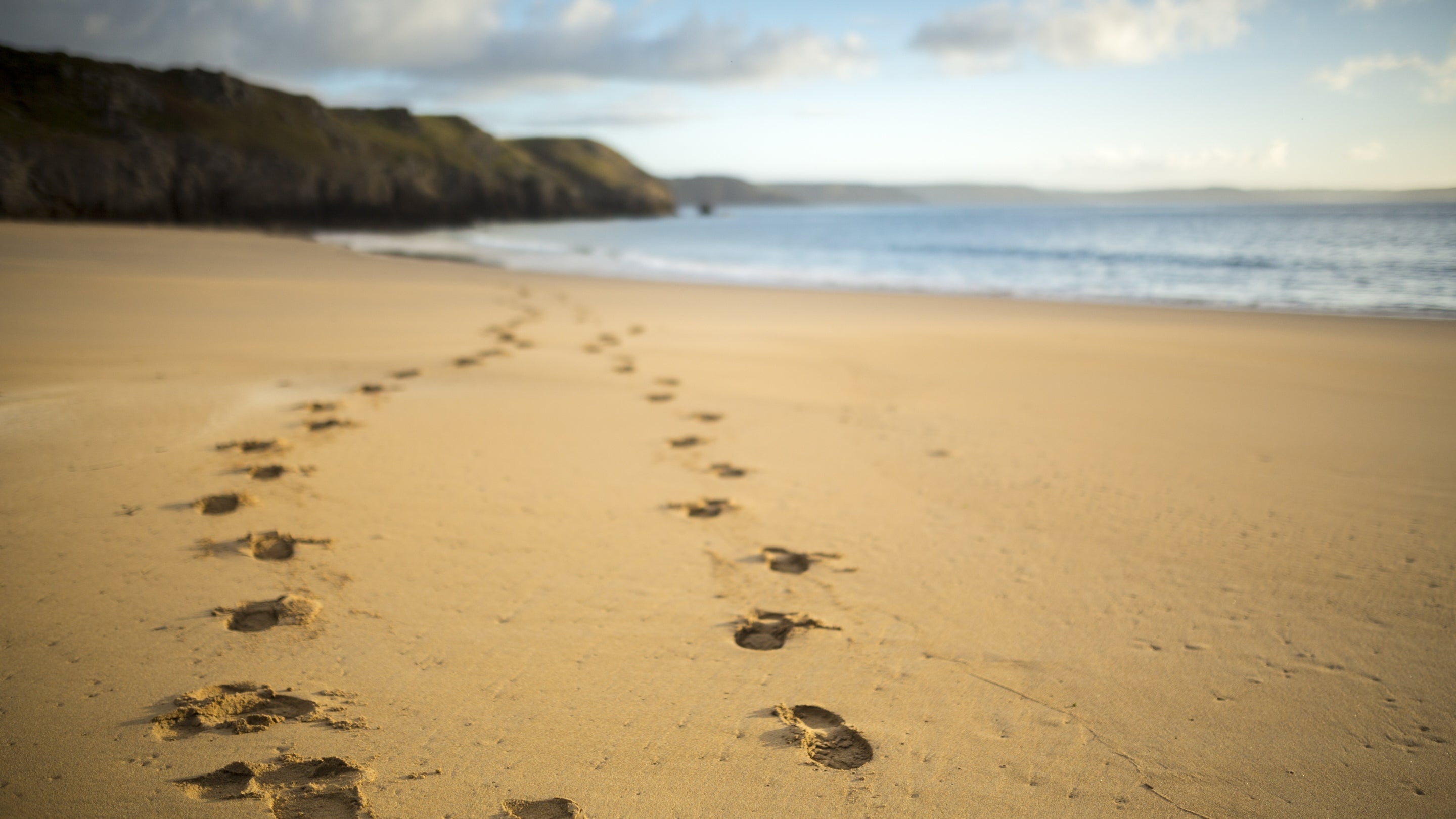 Footprints leading towards the sea on the beach Barafundle Bay