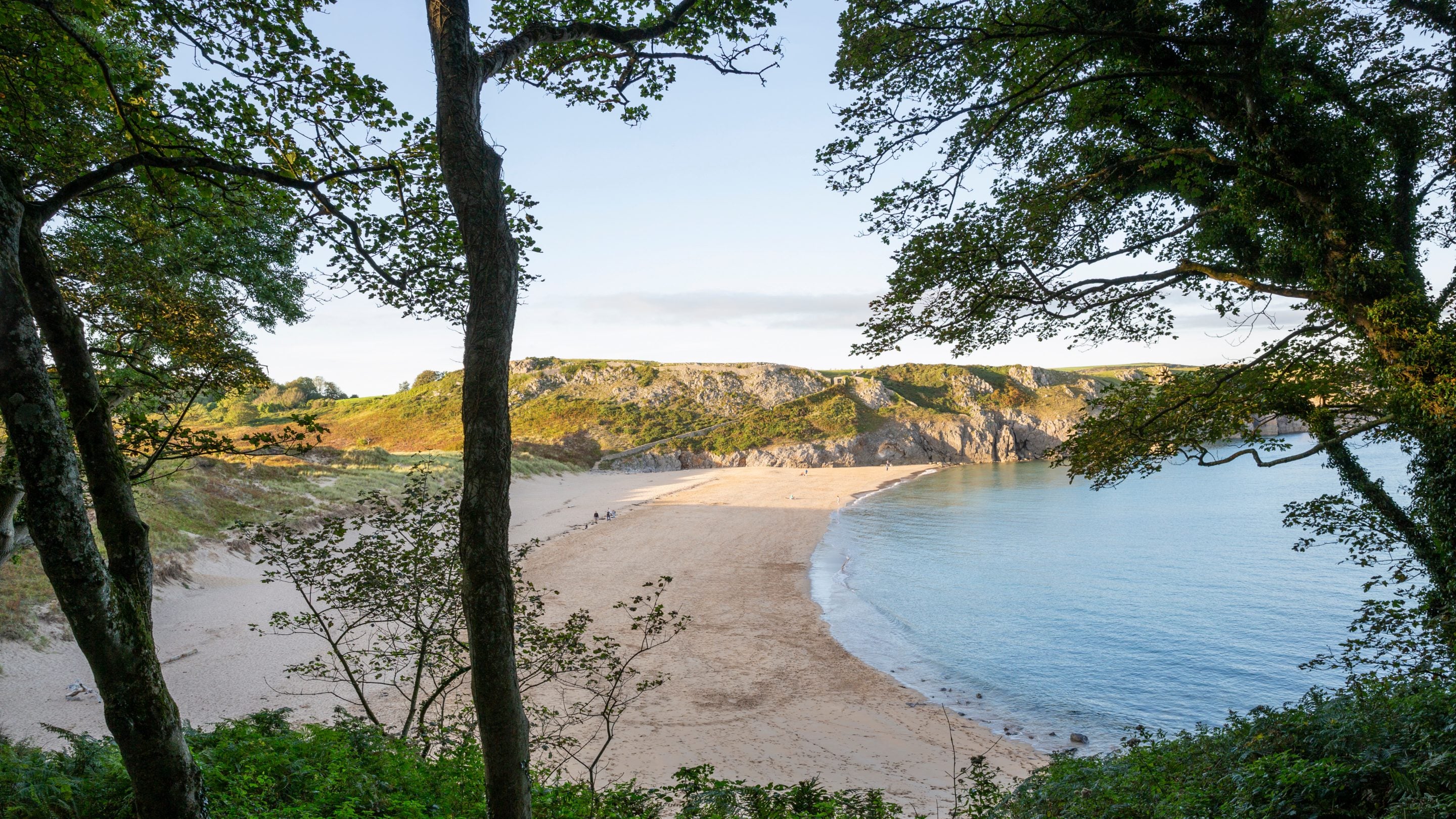 View of Barafundle Bay through trees from a distance on a sunny day