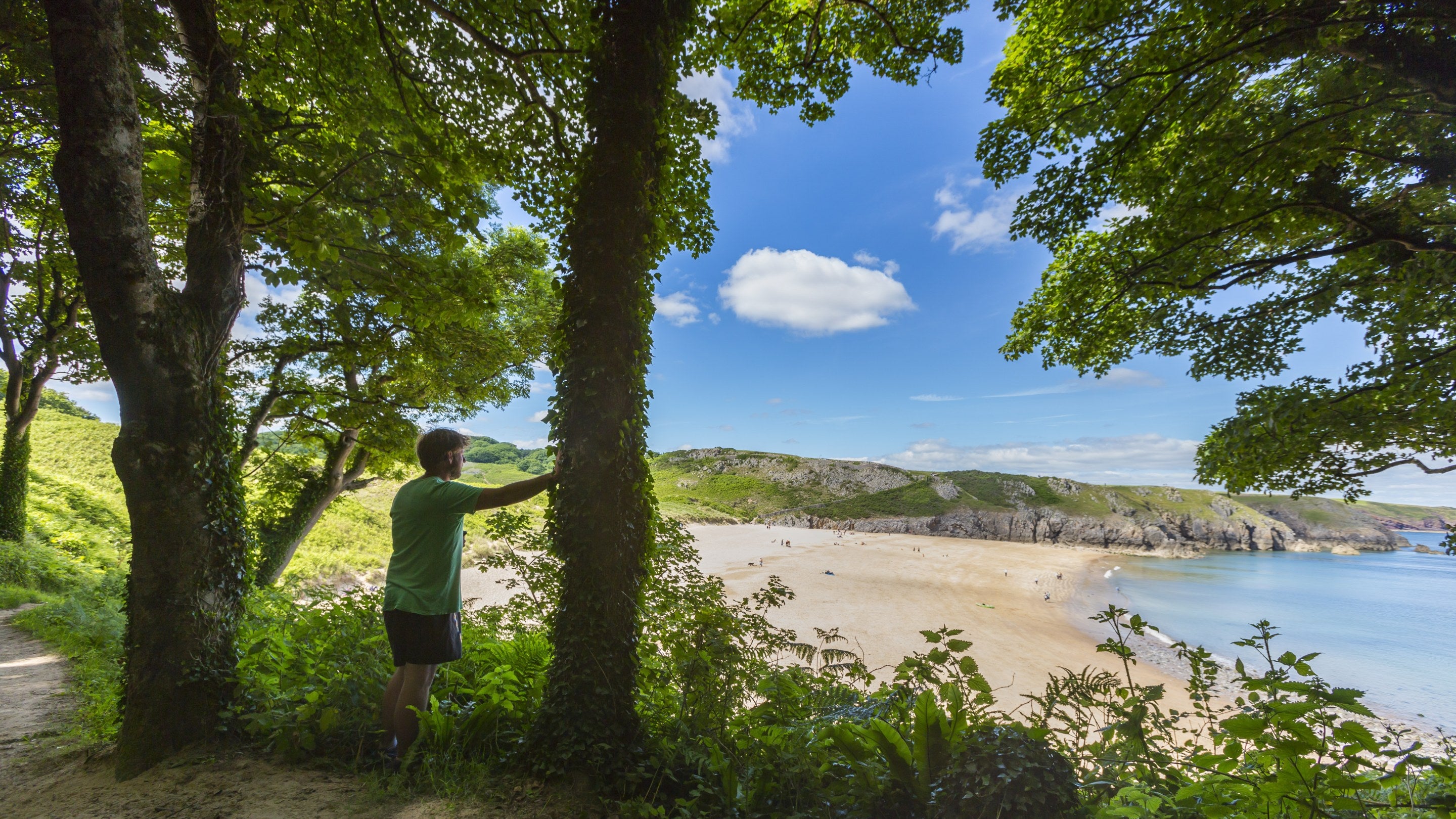 Visitor standing on path overlooking Barafundle Bay