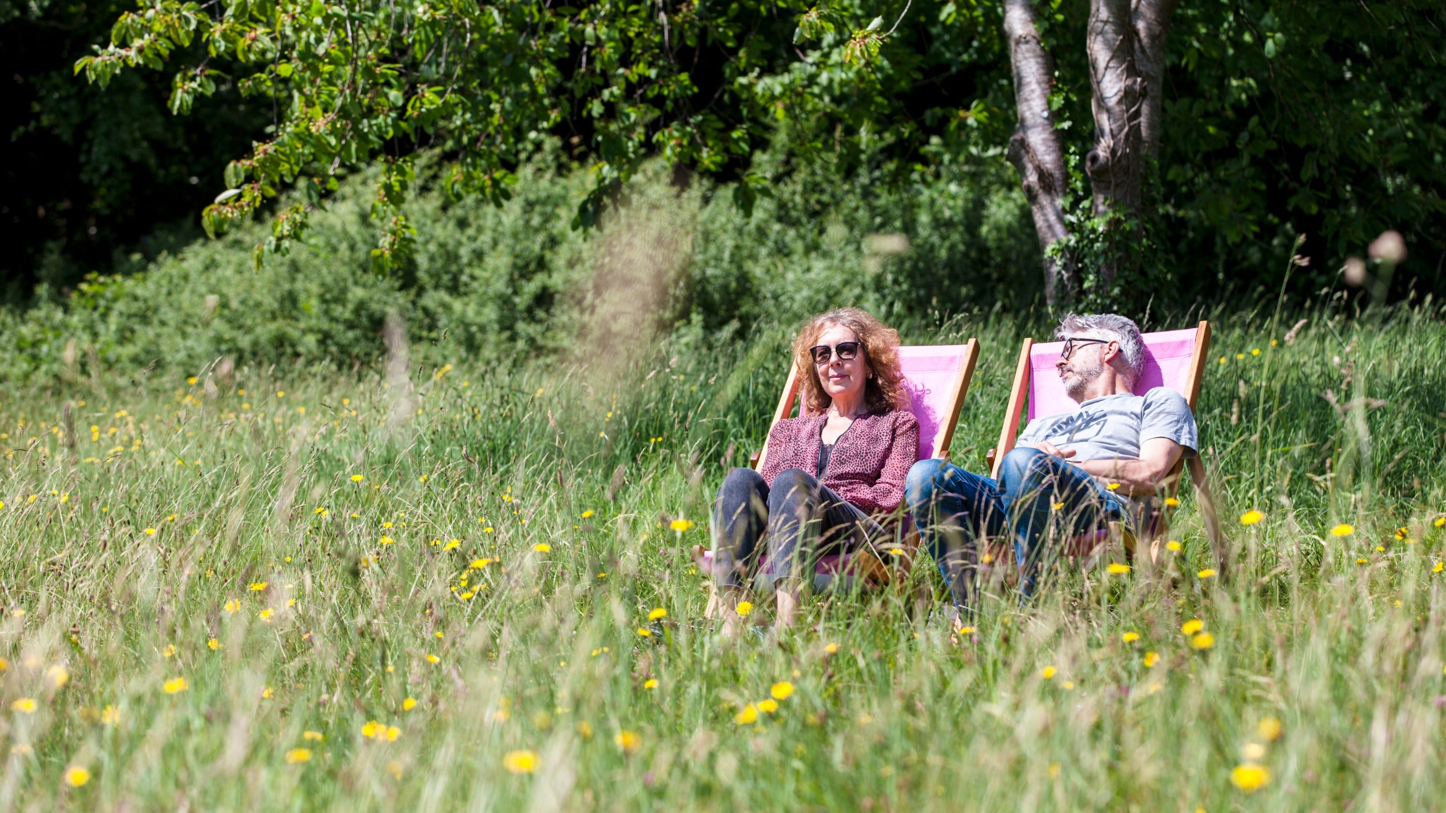 Visitors relaxing in deck chairs in the sun in a wildflower meadow