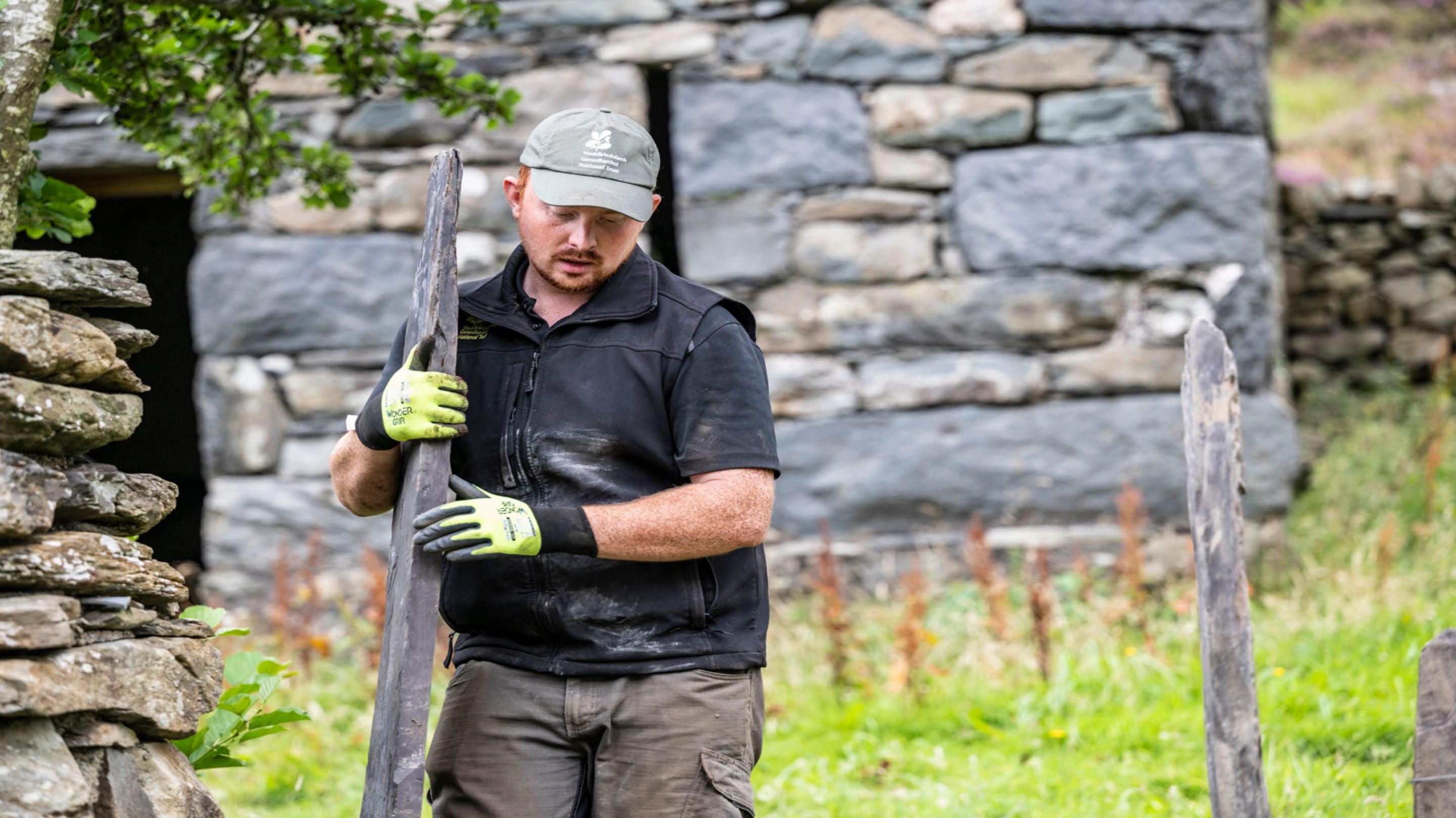 Image showing crawiau - slate fencing - being put up in Ogwen in Eryri