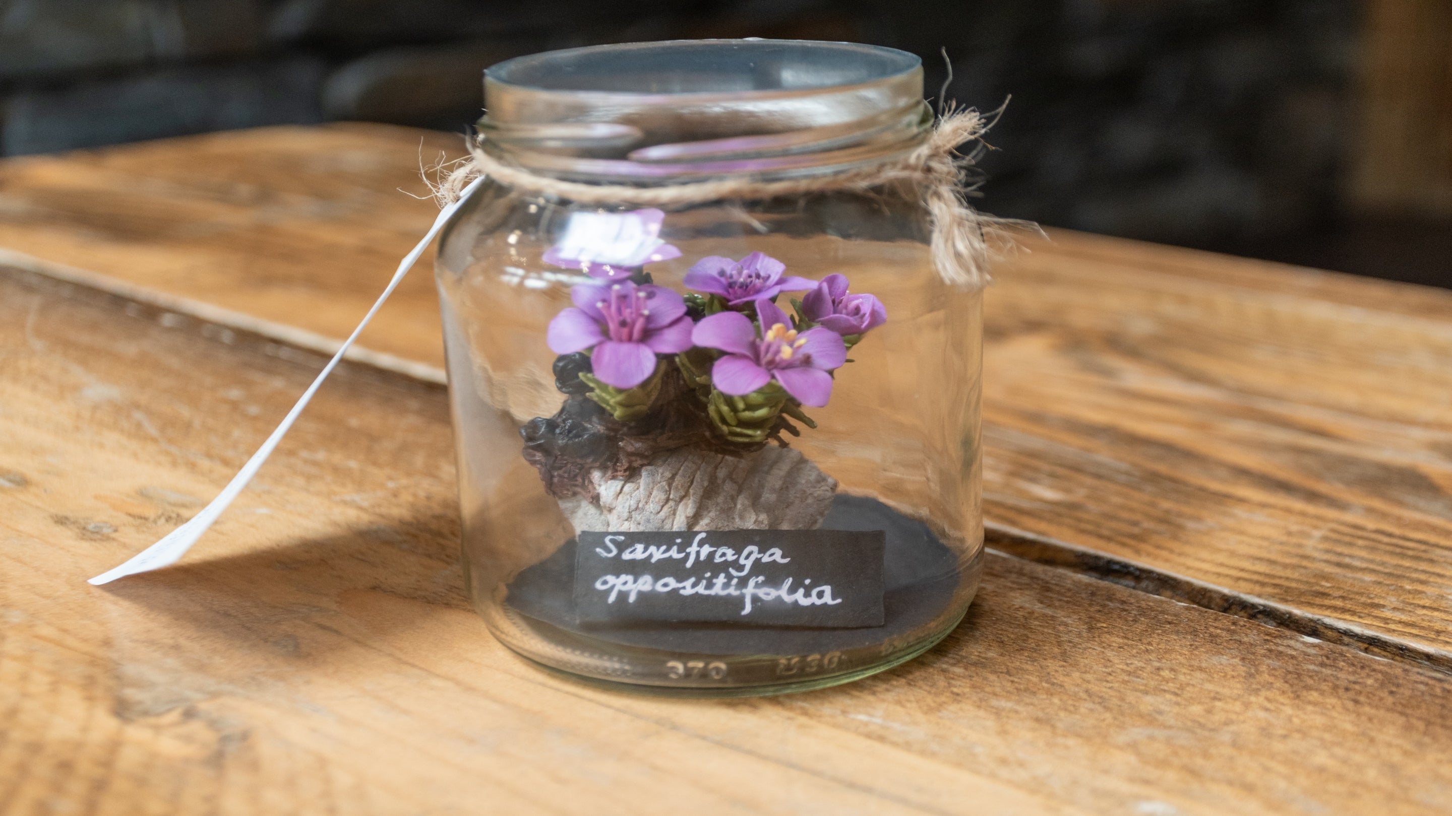 Model o'r Tormaen Cyferbynddail yng Nghwm Idwal