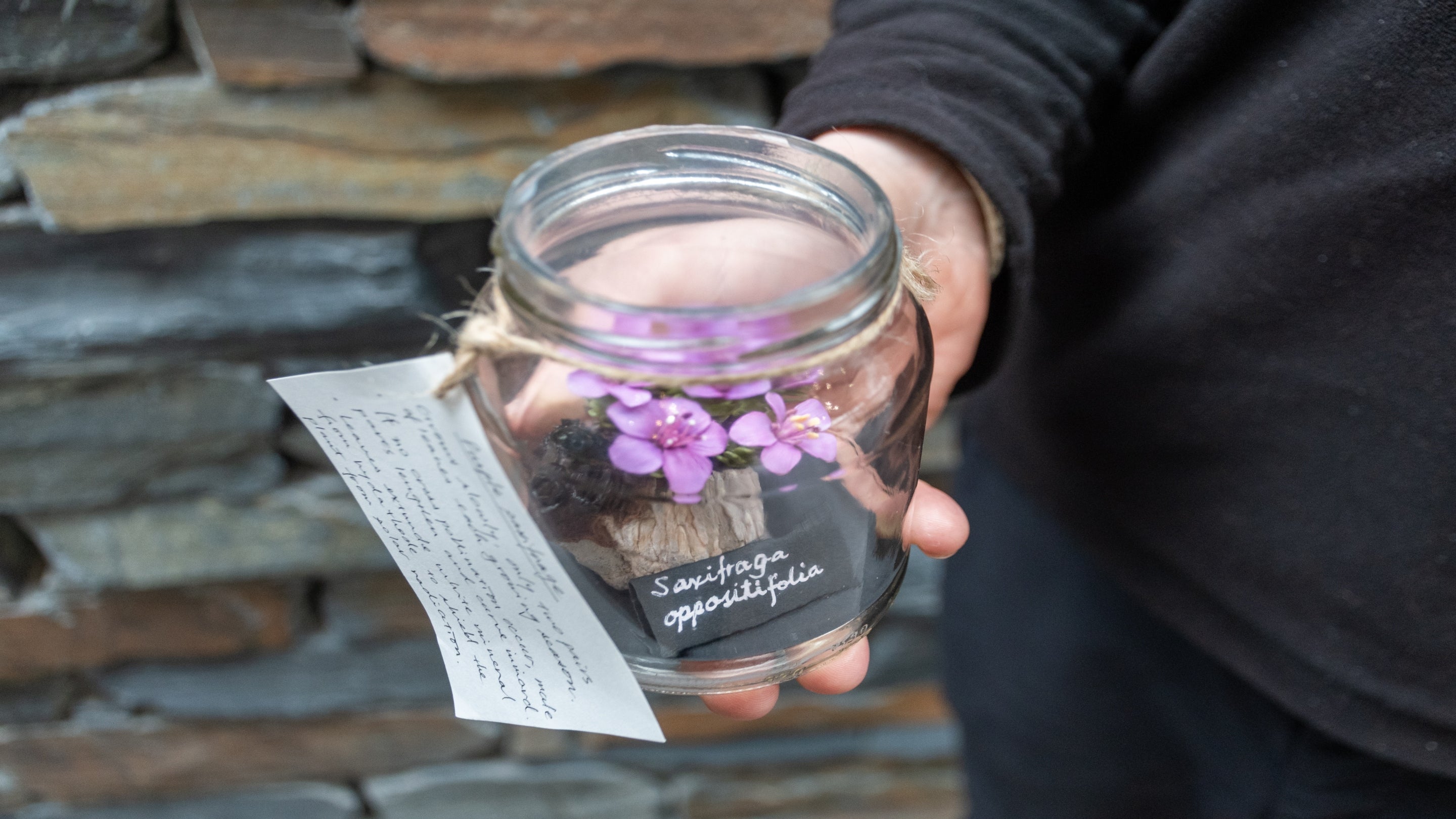 Model o'r Tormaen Cyferbynddail yng Nghwm Idwal