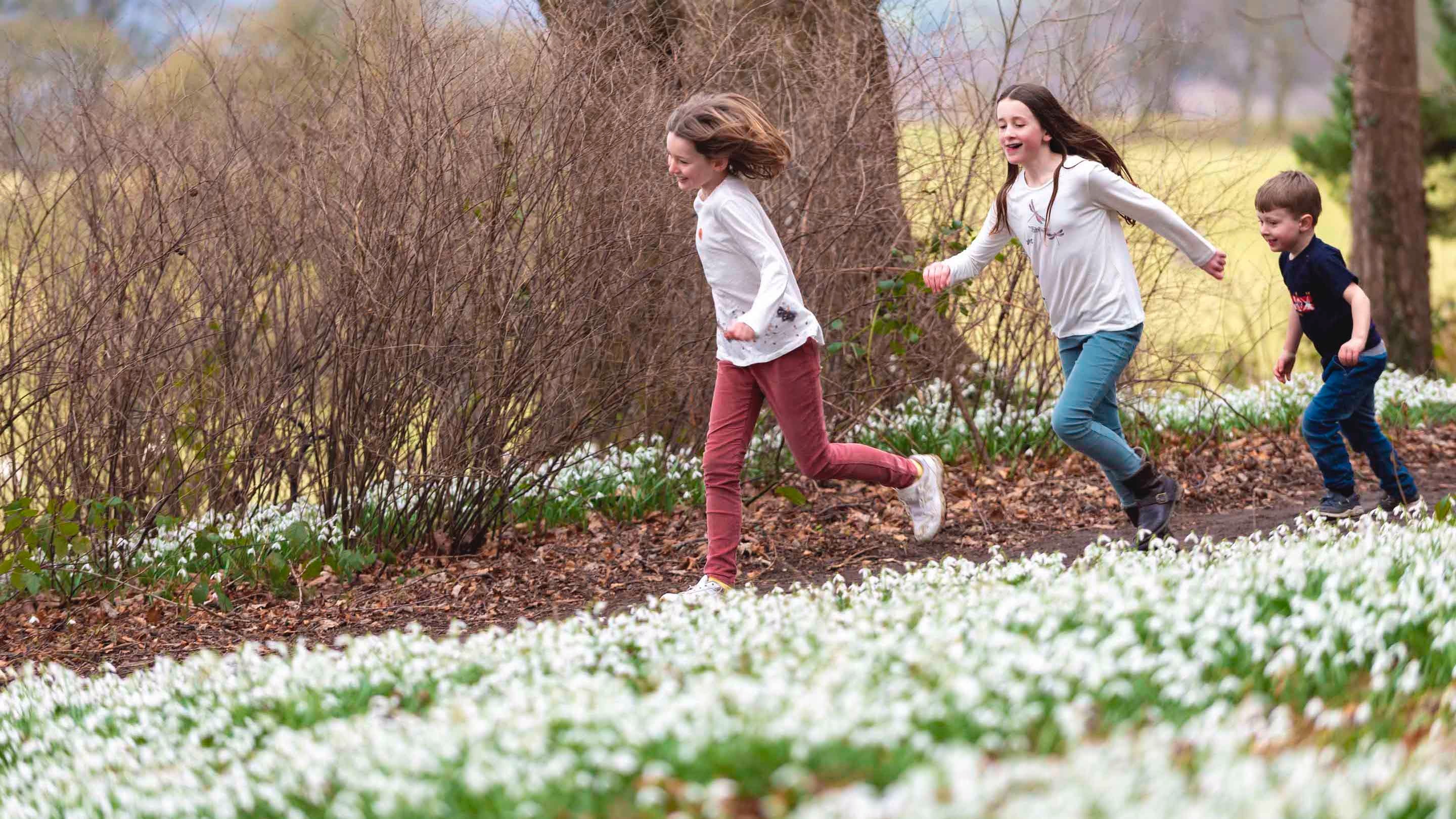 Children running past snowdrops at Chirk Castle, Wrexham