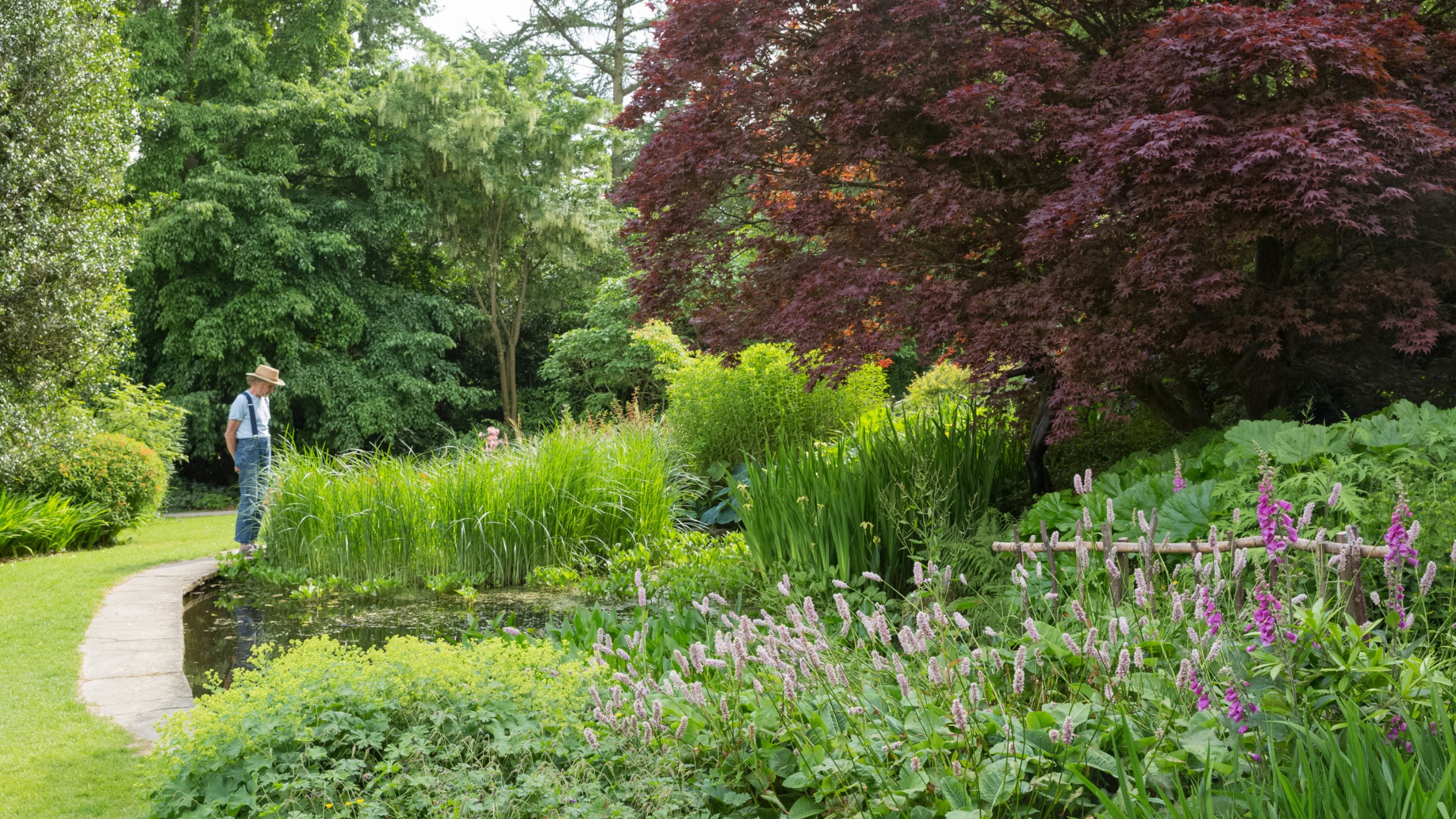 A visitor looks at the pond in the garden at Chirk Castle