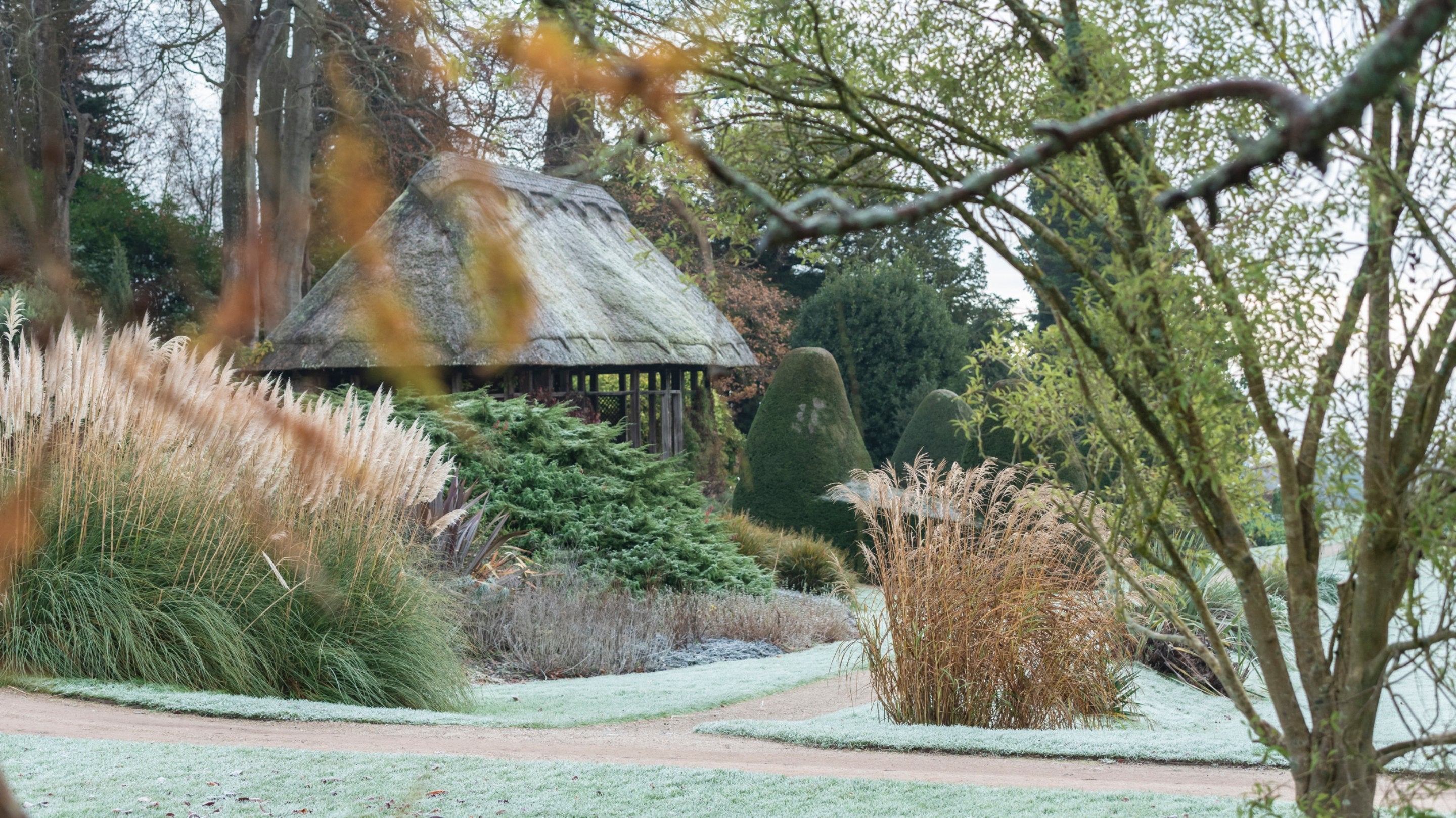 The frosty garden in winter at Chirk Castle Wrexham with branches in foreground and path beyond