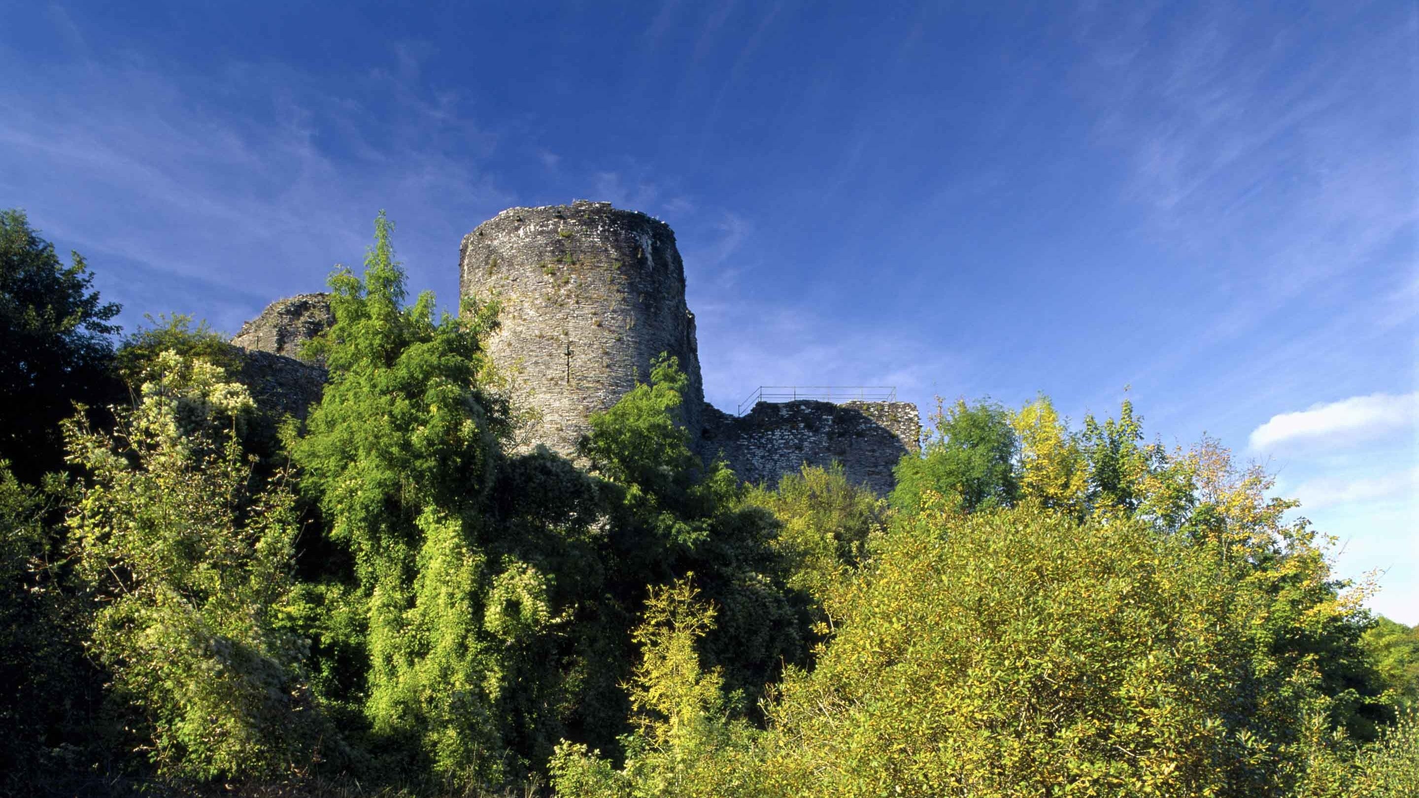 Adfail Castell Cilgerran, sy’n dyddio o’r 13eg ganrif, yn sefyll uwchlaw ceunant trawiadol Afon Teifi. Mae’r llethrau serth sy’n amgylchynu’r castell wedi’u gorchuddio â phlanhigion amrywiol, gan gynnwys coed bach.