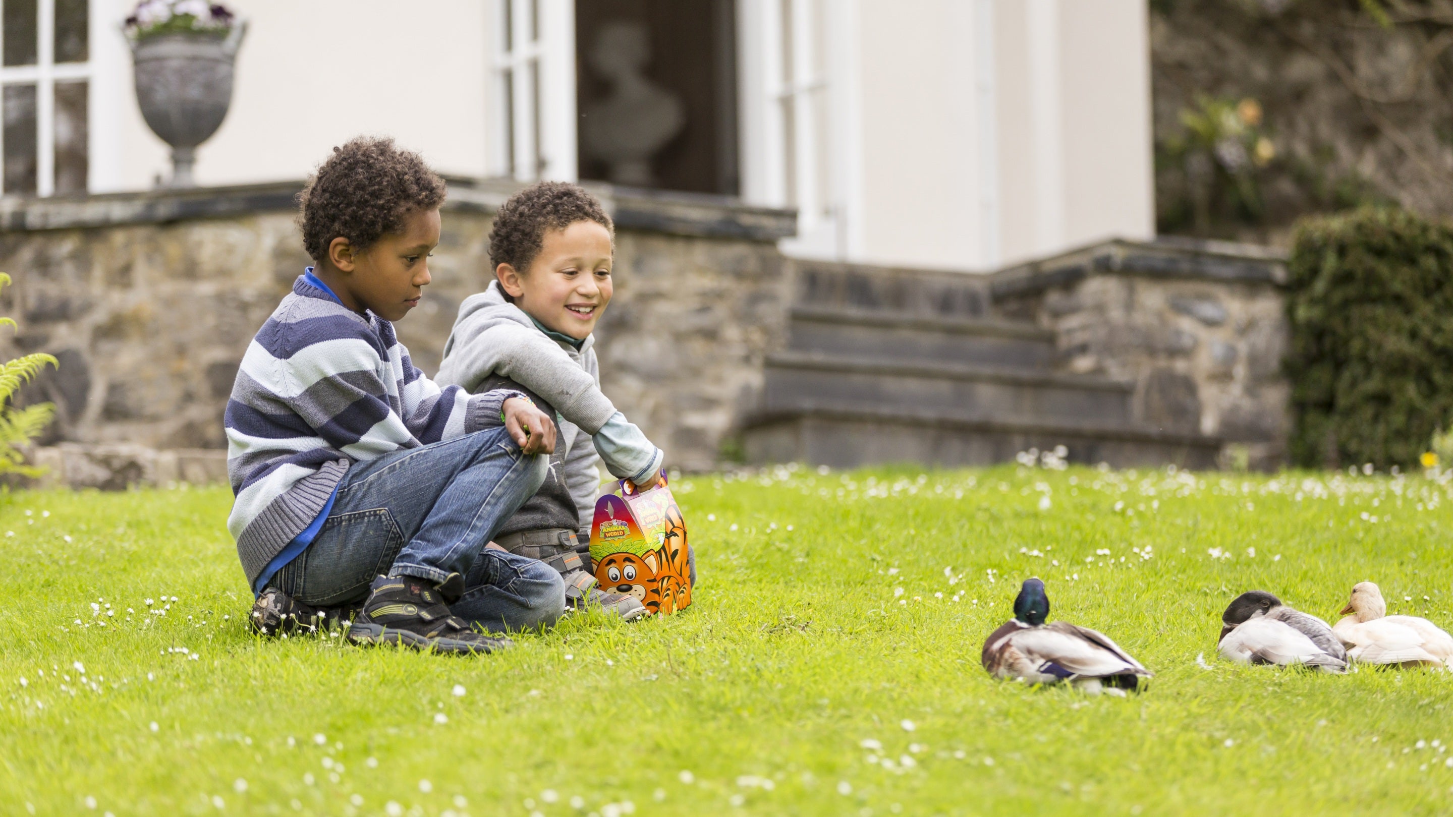 Two children looking at some ducks on the lawn at Colby Woodland Garden, Pembrokeshire