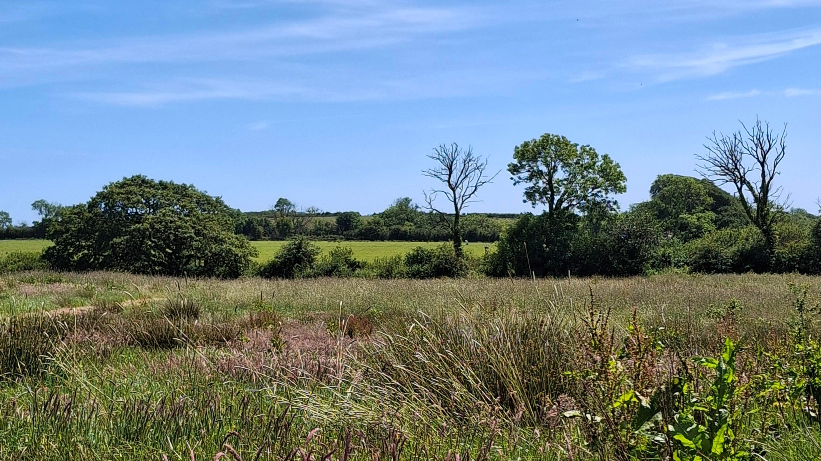 Colby Estate Mount and Barns Field Walk (purple Trail)