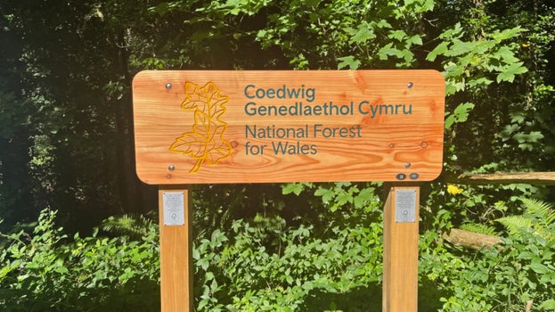 National Forest for Wales, Colby Stackpole Woodland Project