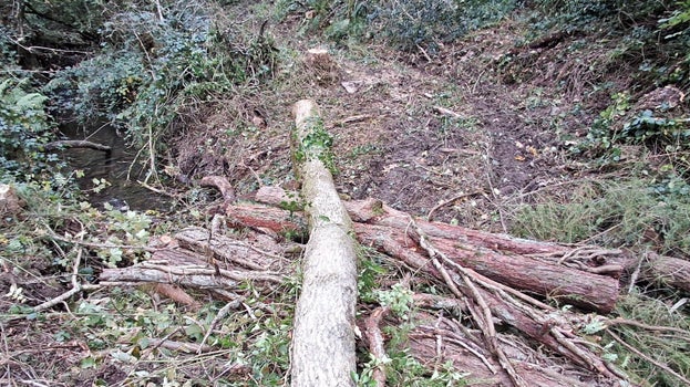 Rheolaeth llifogydd naturiol yn nyffryn Craig y Borion
