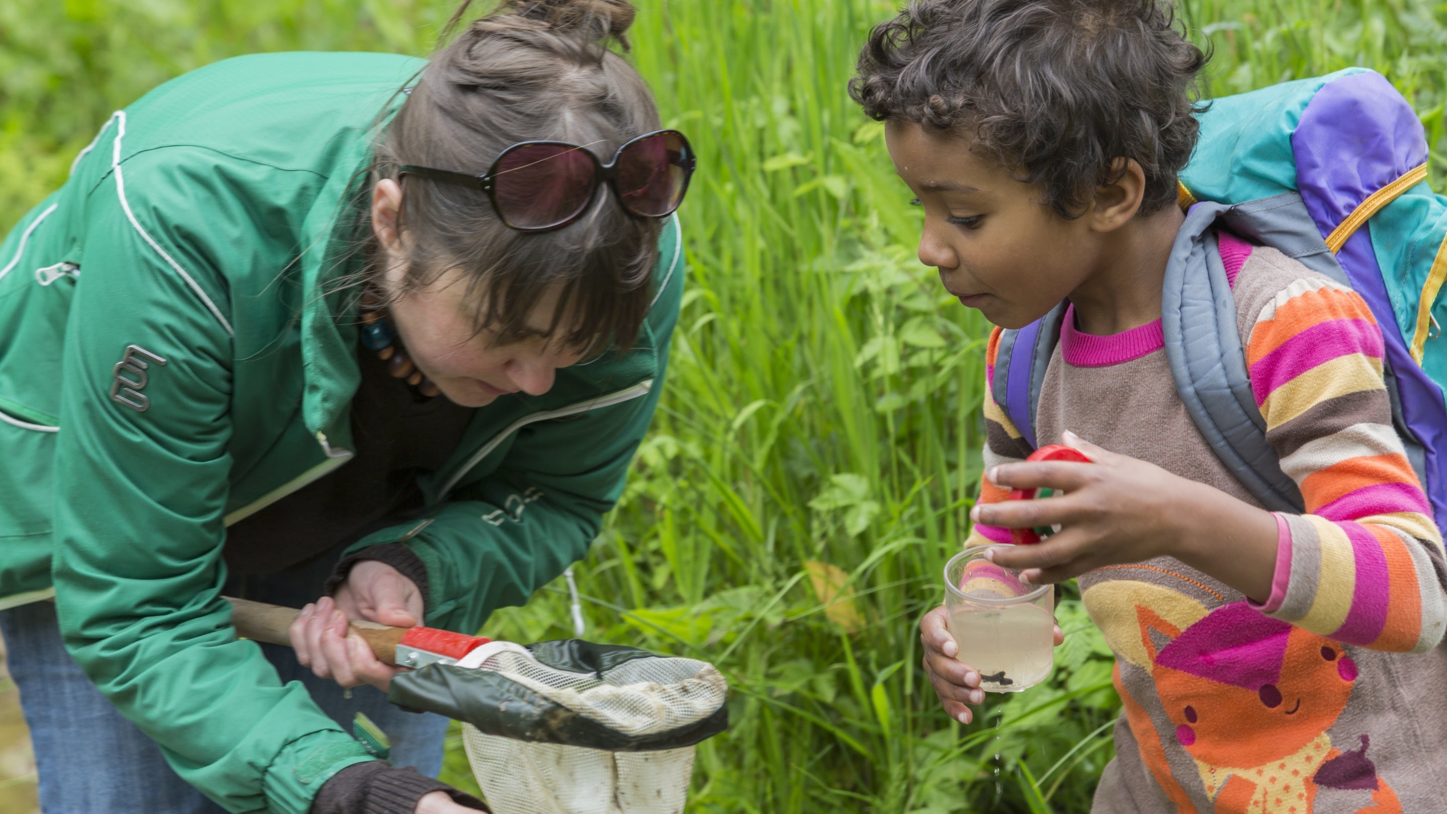 Visitors using nets to catch specimens from the stream, at Colby Woodland Garden, Pembrokeshire