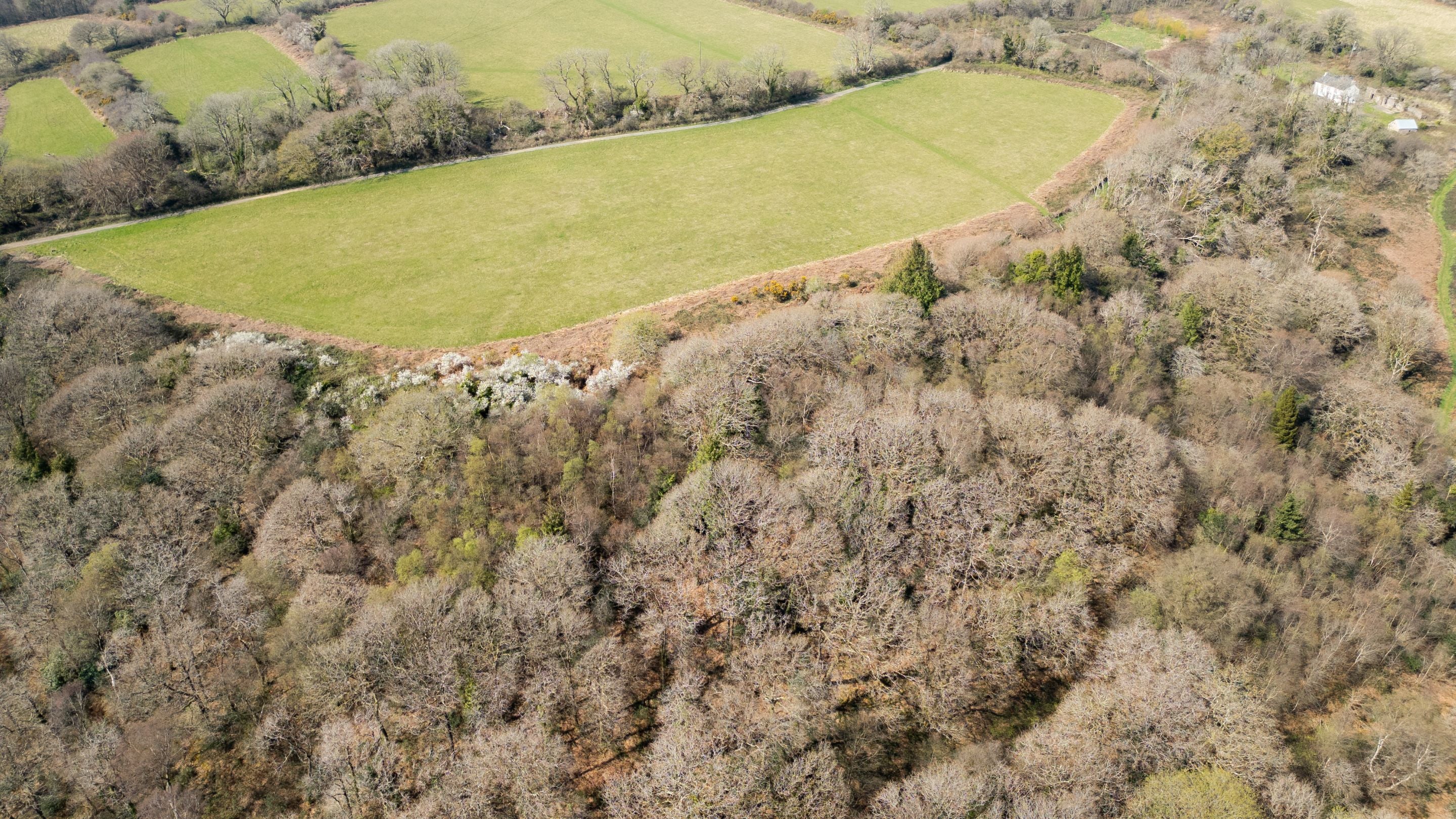 Aerial views of Colby Woodland Garden’s hidden wooded valley, Pembrokeshire