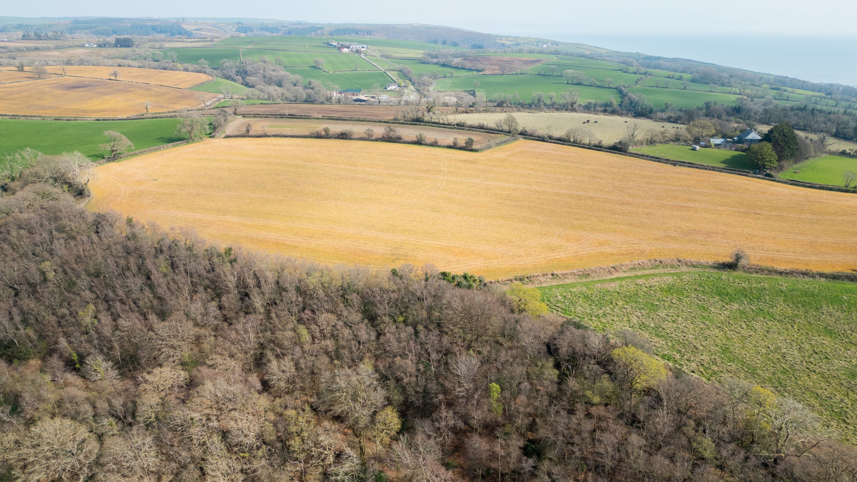Aerial views of Colby Woodland Garden’s hidden wooded valley, Pembrokeshire