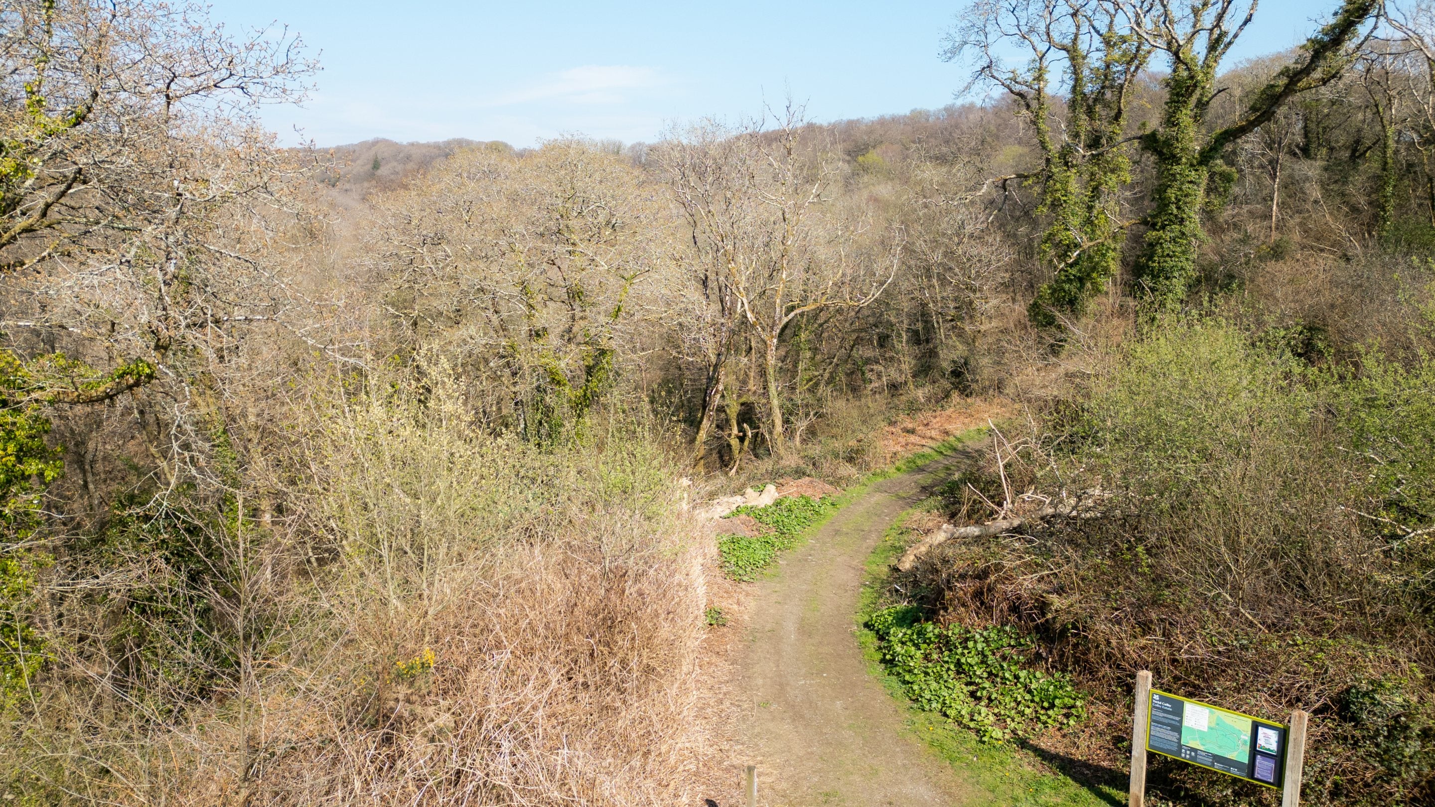 Aerial views of Colby Woodland Garden’s hidden wooded valley, Pembrokeshire