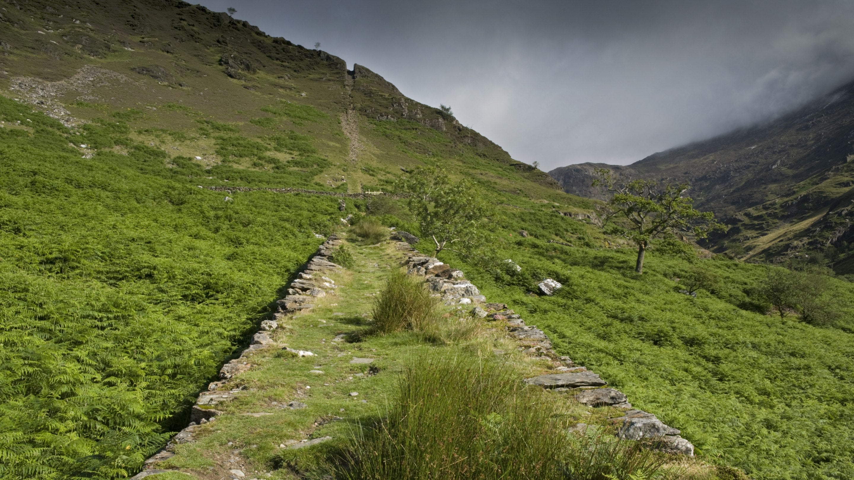 The remains of the mine railway track on a hillside on Hafod y Llan estate, Snowdonia, Wales