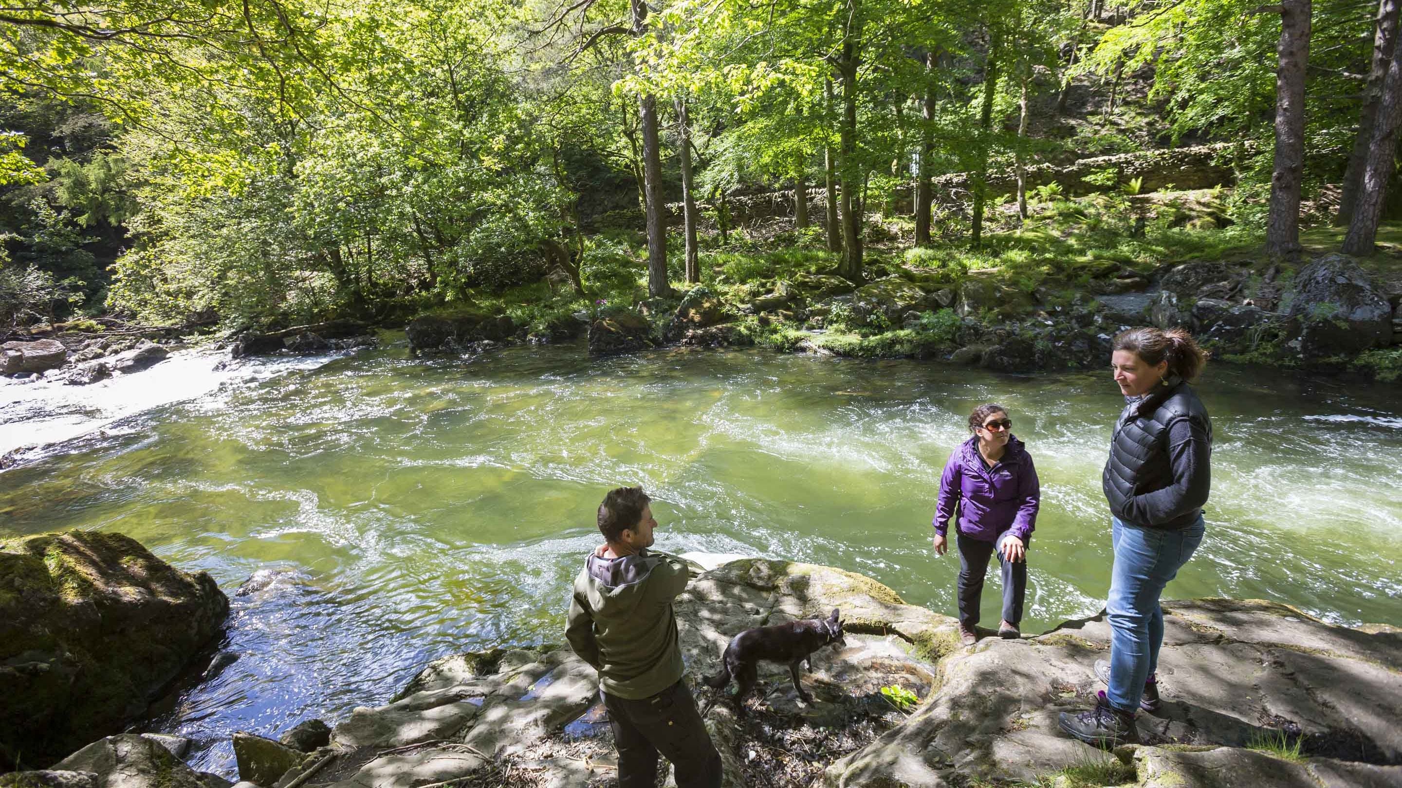Tri ymwelydd yn sefyll wrth afon mewn coed yn Craflwyn a Beddgelert, Cymru.