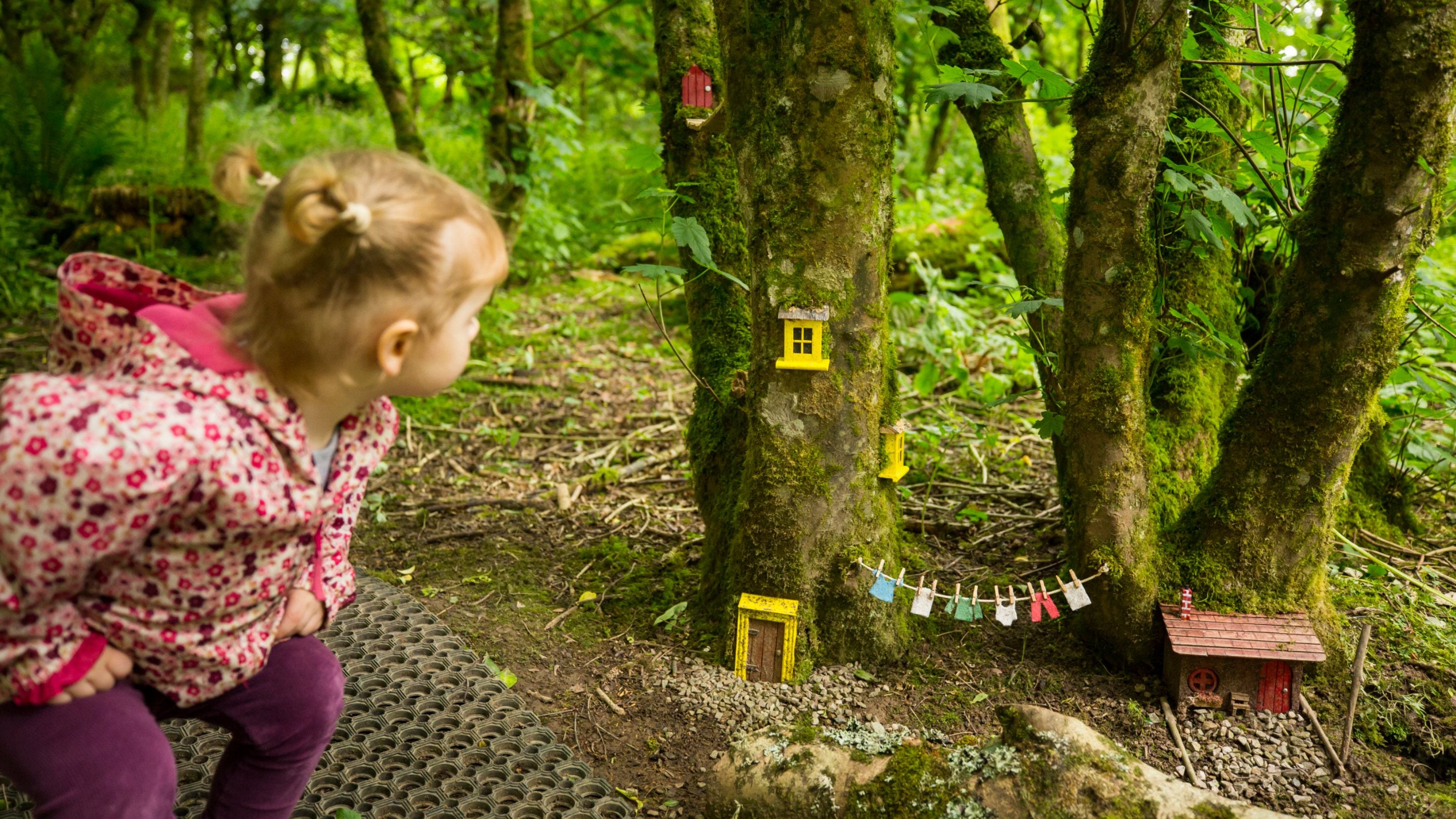 A child in a forest, looking at trees that have little doors and windows on them