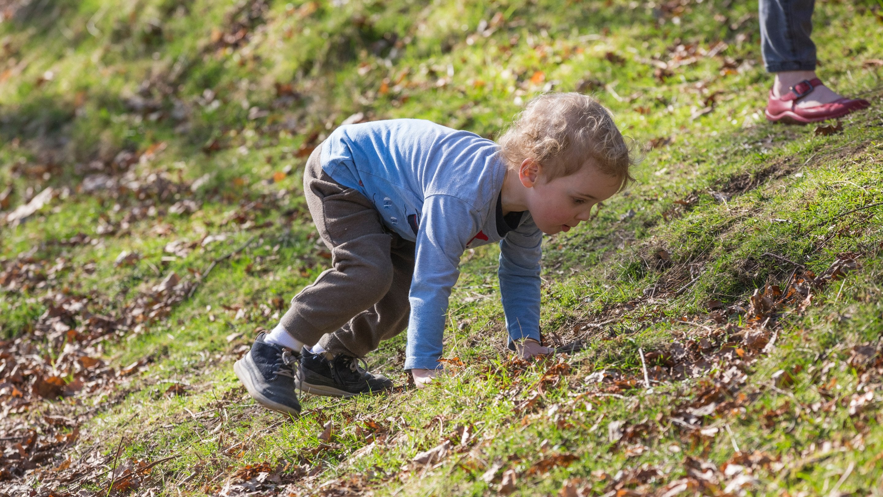 Close-up of a toddler climbing a slope