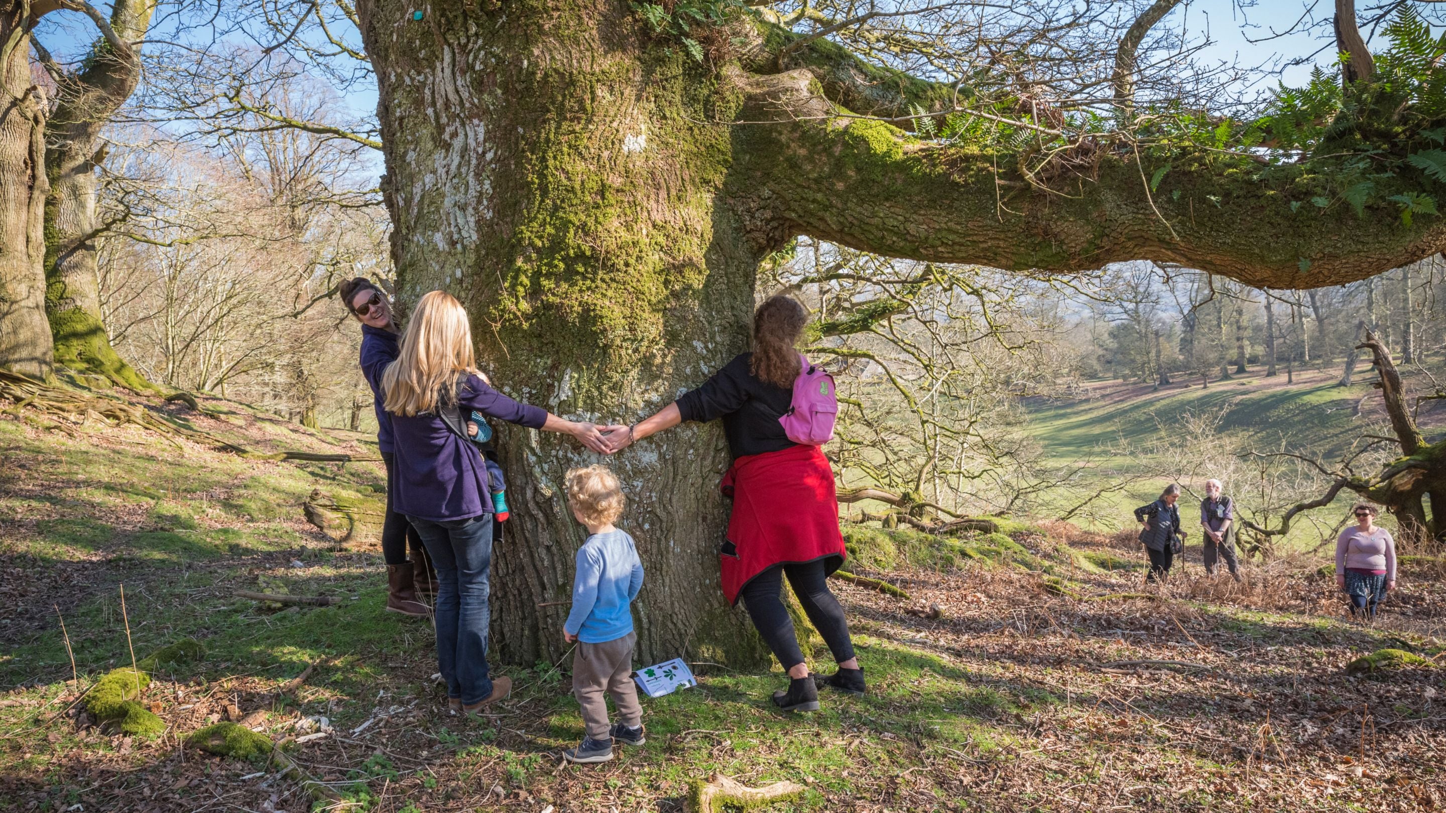 Explore the parkland at Dinefwr| Wales | National Trust