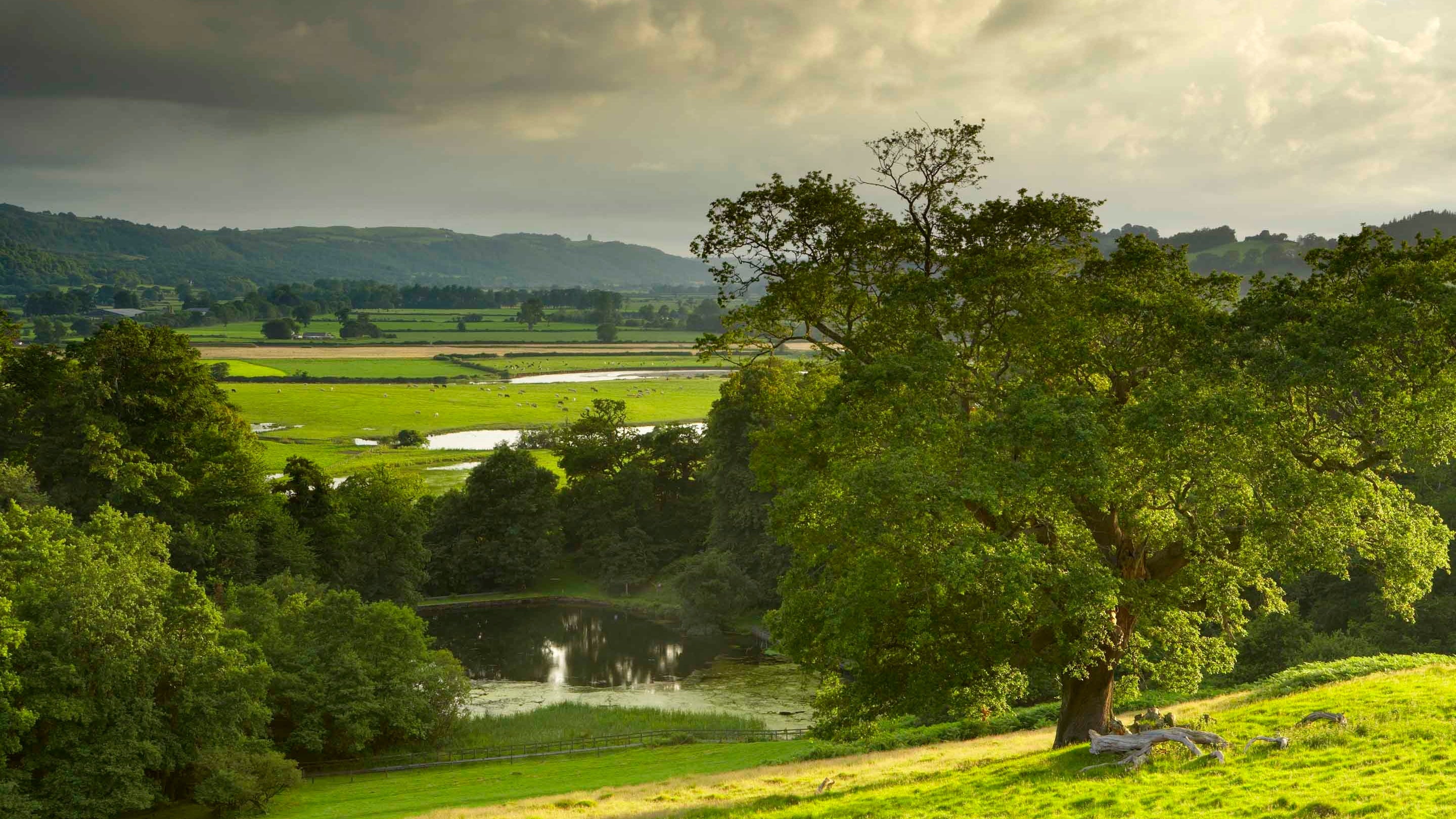 Y parc tirluniedig a’r cefn gwlad o gwmpas Tŷ Newton a Dinefwr yn Llandeilo, Sir Gâr