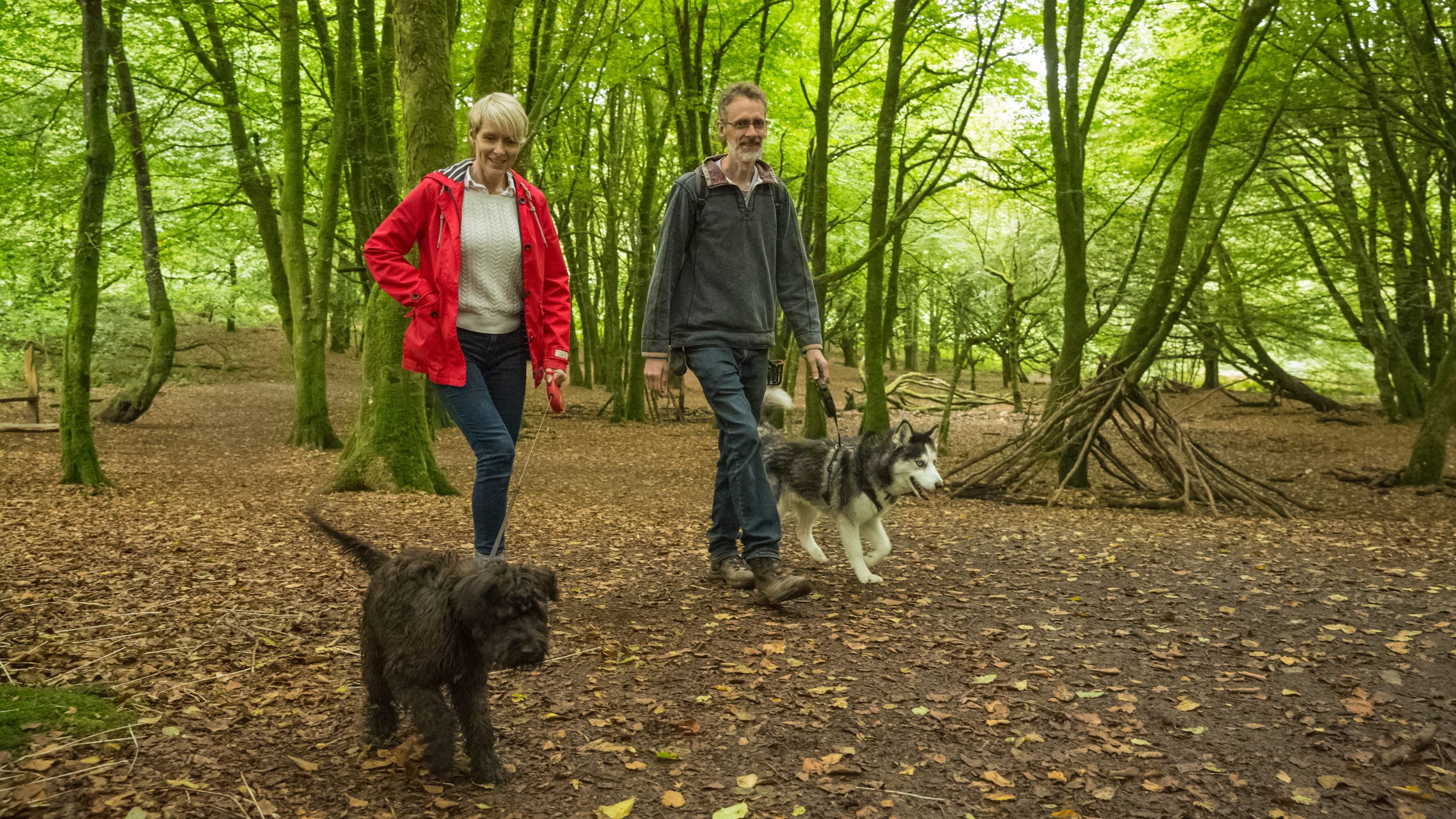 Dwy bobl yn cerdded gyda'i chŵn ar ystâd Dinefwr, Sir Gaerfyrddin, Cymru