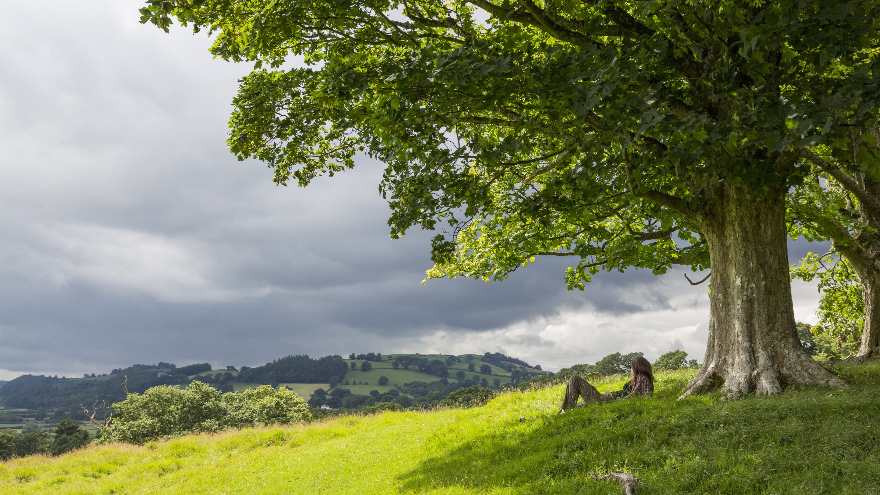 Visitor relaxing under a tree in the parkland at Dinefwr, Carmarthenshire