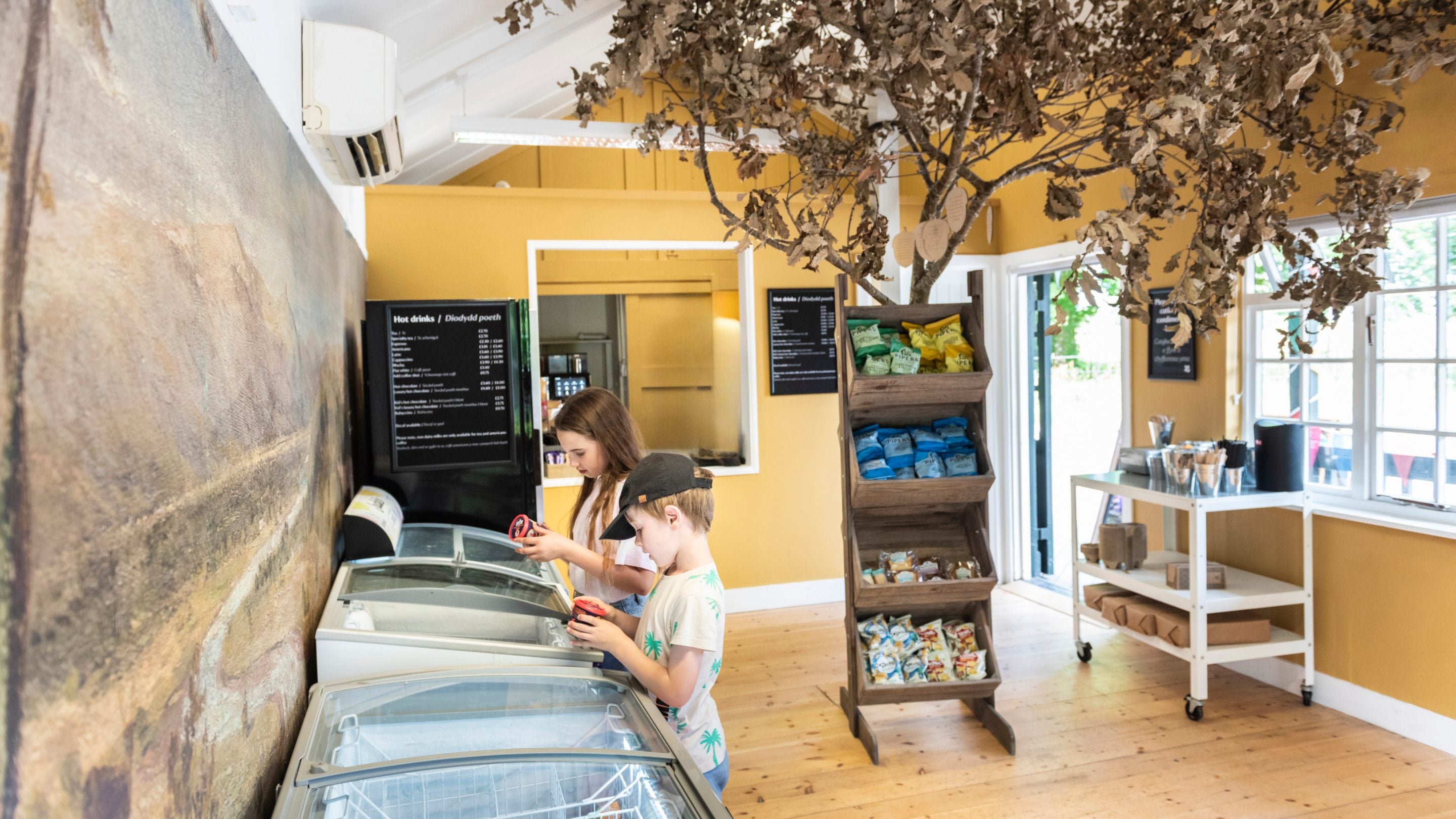 Dau o blant yn edrych mewn i rewgell hufen ia yng nghaffi allanol Dinefwr, Sir Gaerfyrddin