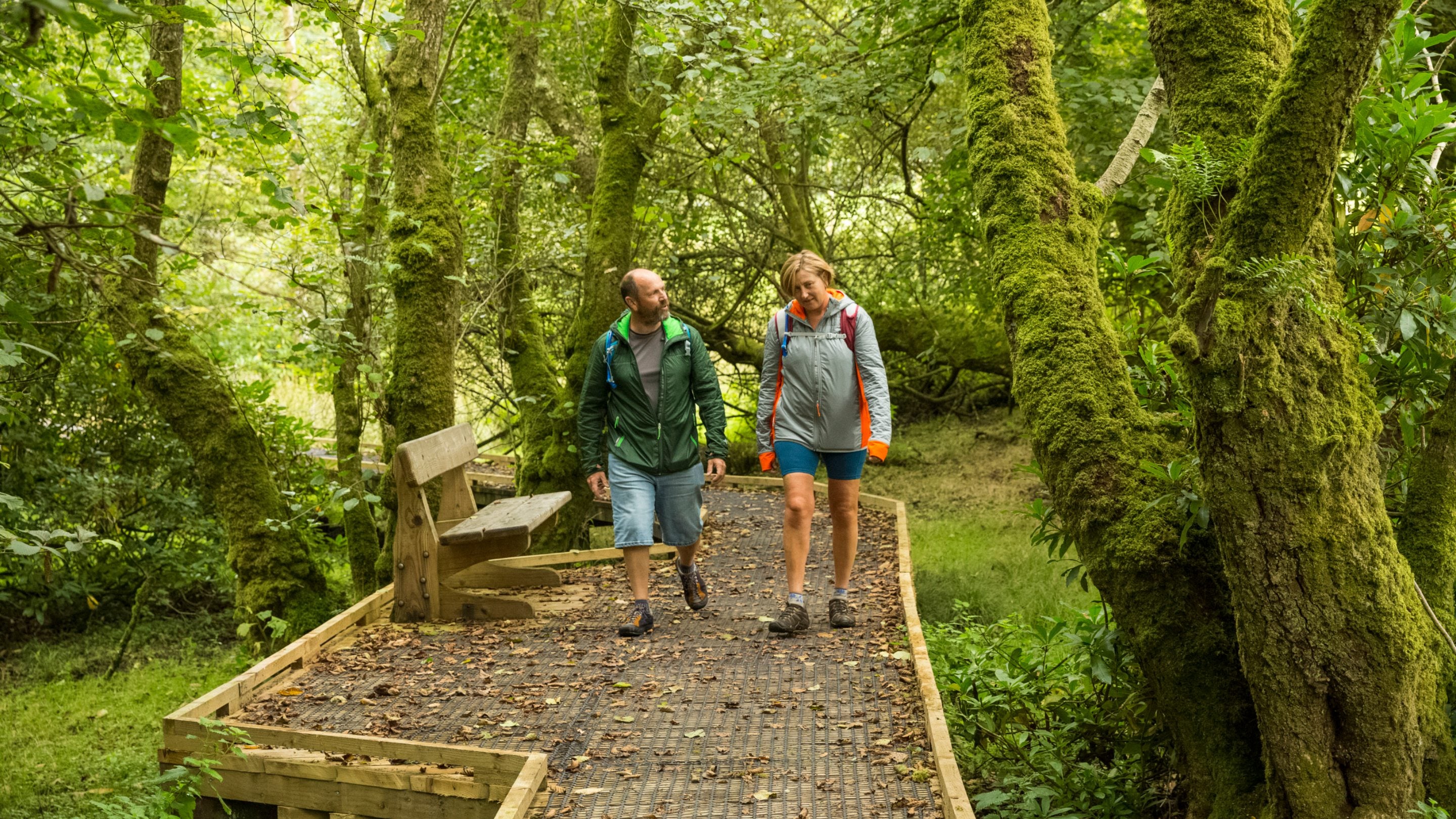 Dau ymwelydd yn cerdded ar hyd y llwybr pren, wedi’u hamgylchynu gan goed, yn Ninefwr