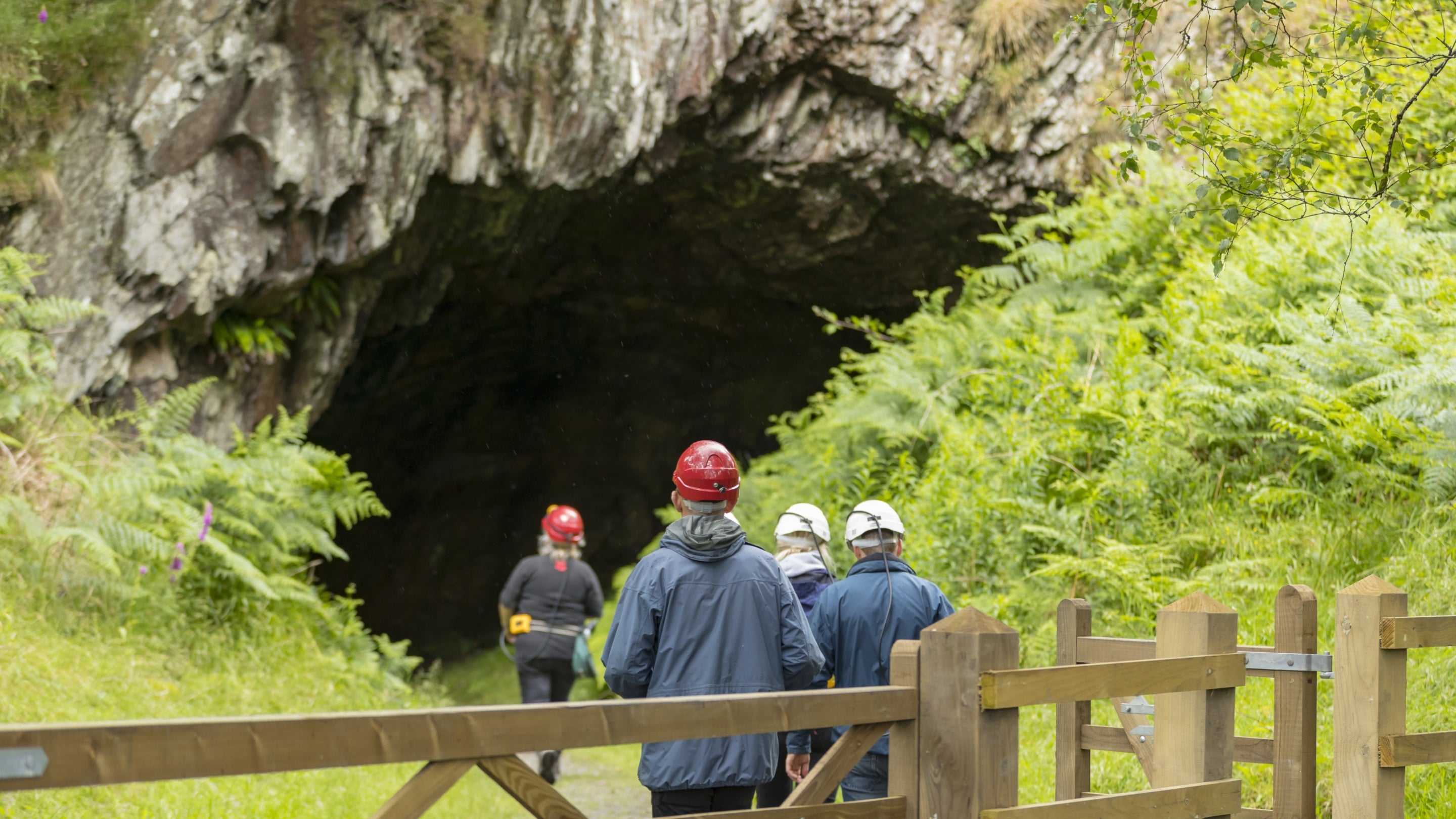 A group of visitors wearing hard hats approach a cave opening at Dolaucothi Gold Mine in Wales