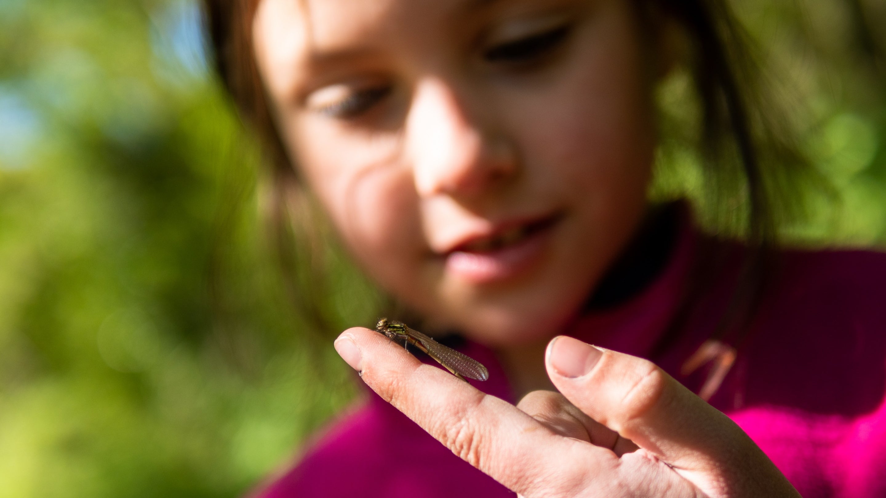 A young girl looking at a dragon fly resting on the finger of another visitor, the sun is shining.