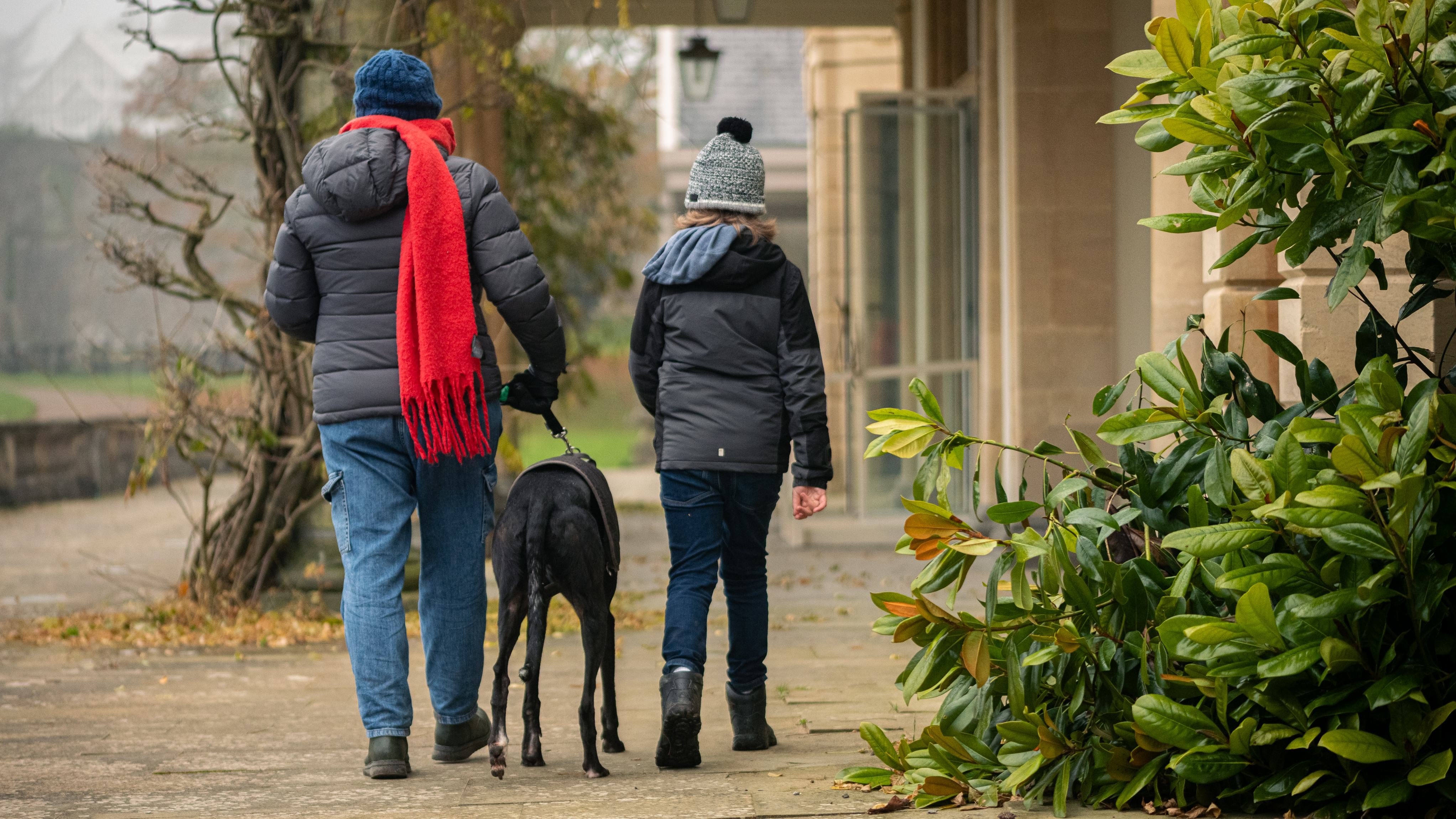 Couple walking the dog through Dyffryn Gardens