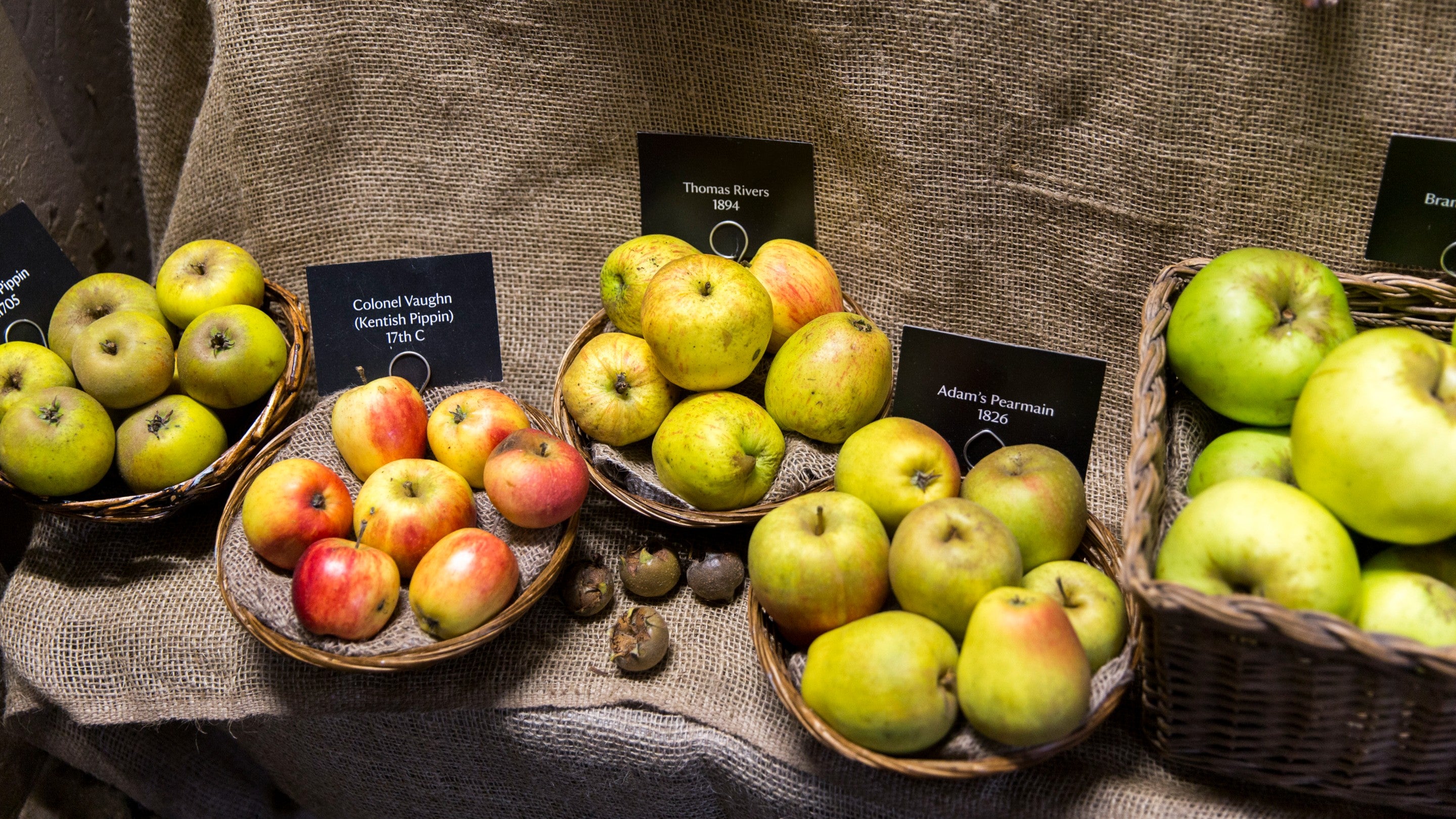 An autumn display of seasonal apples in baskets