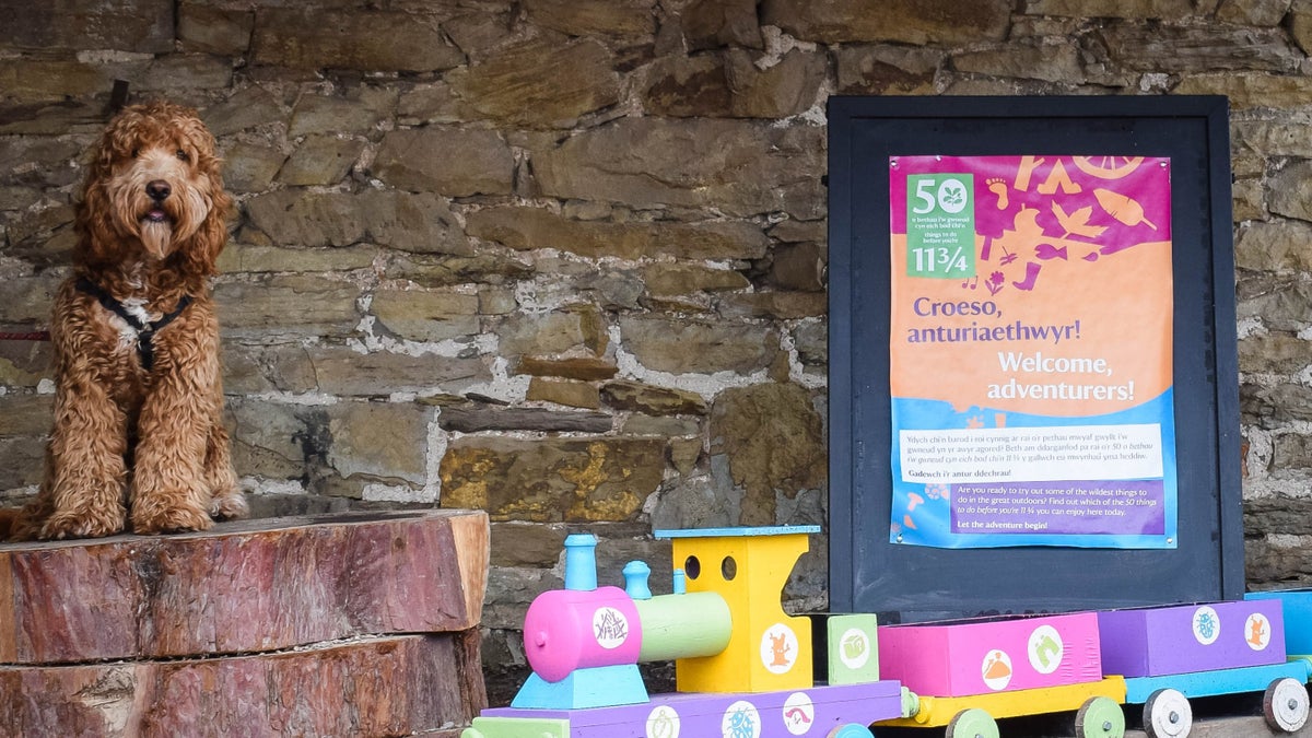 Visit Erddig with your dog Wales National Trust