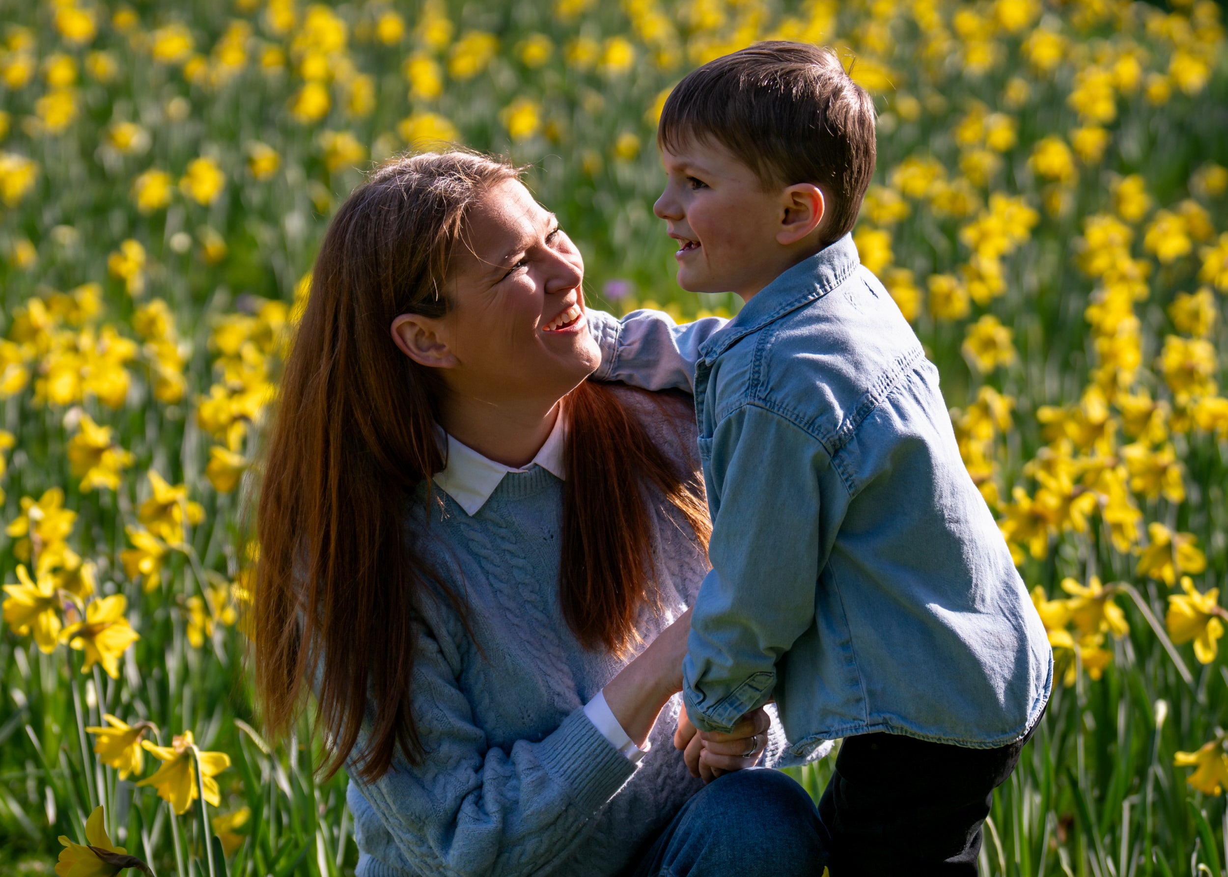 A family enjoying the daffodils