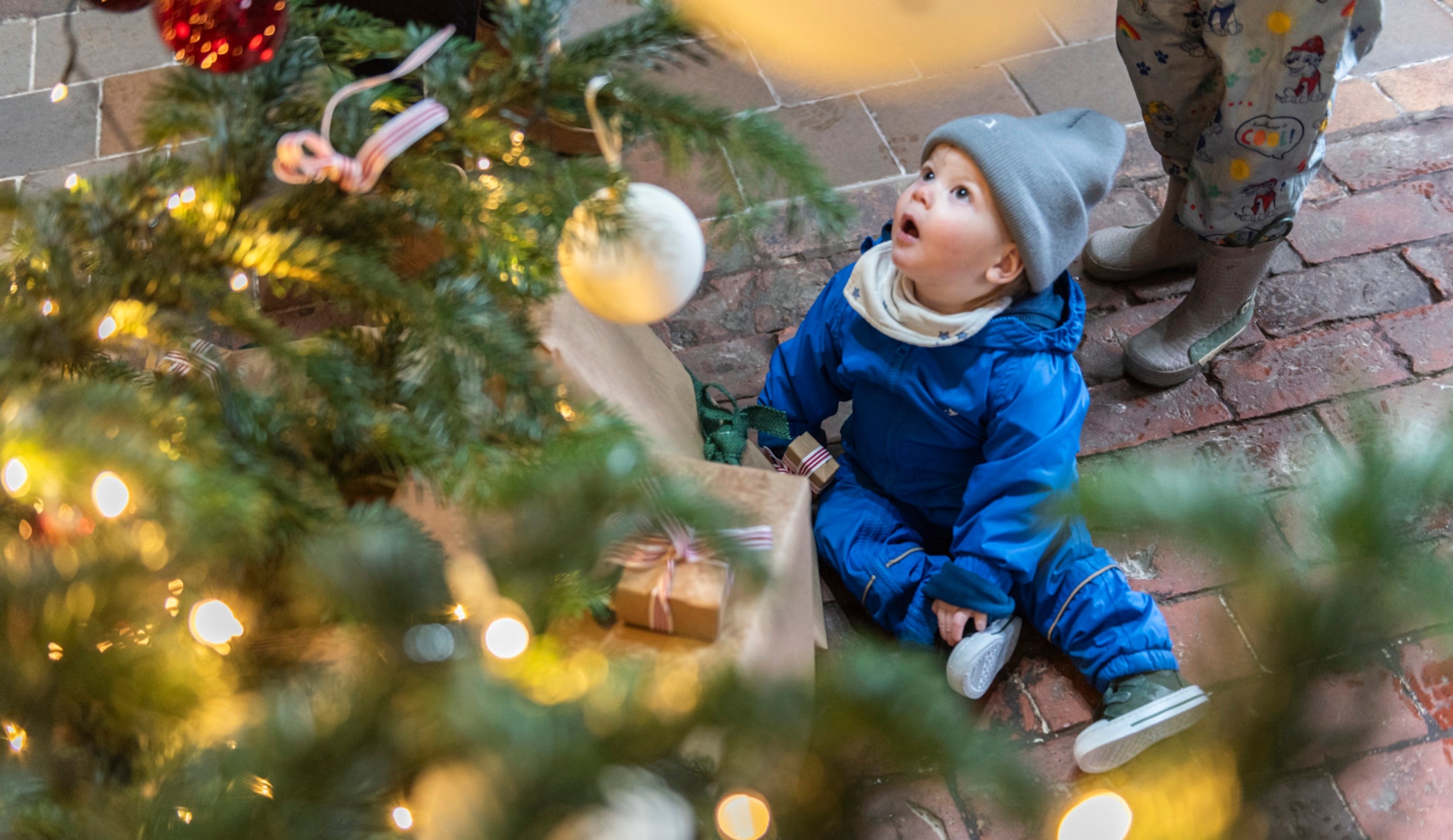 Plentyn yn rhyfeddu ar Goeden Nadolig yn Erddig