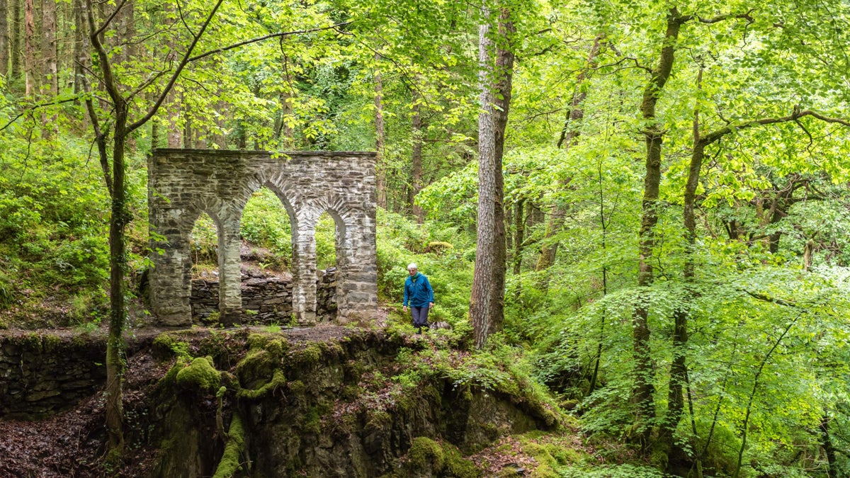 Visiting the Hafod Estate│Wales National Trust