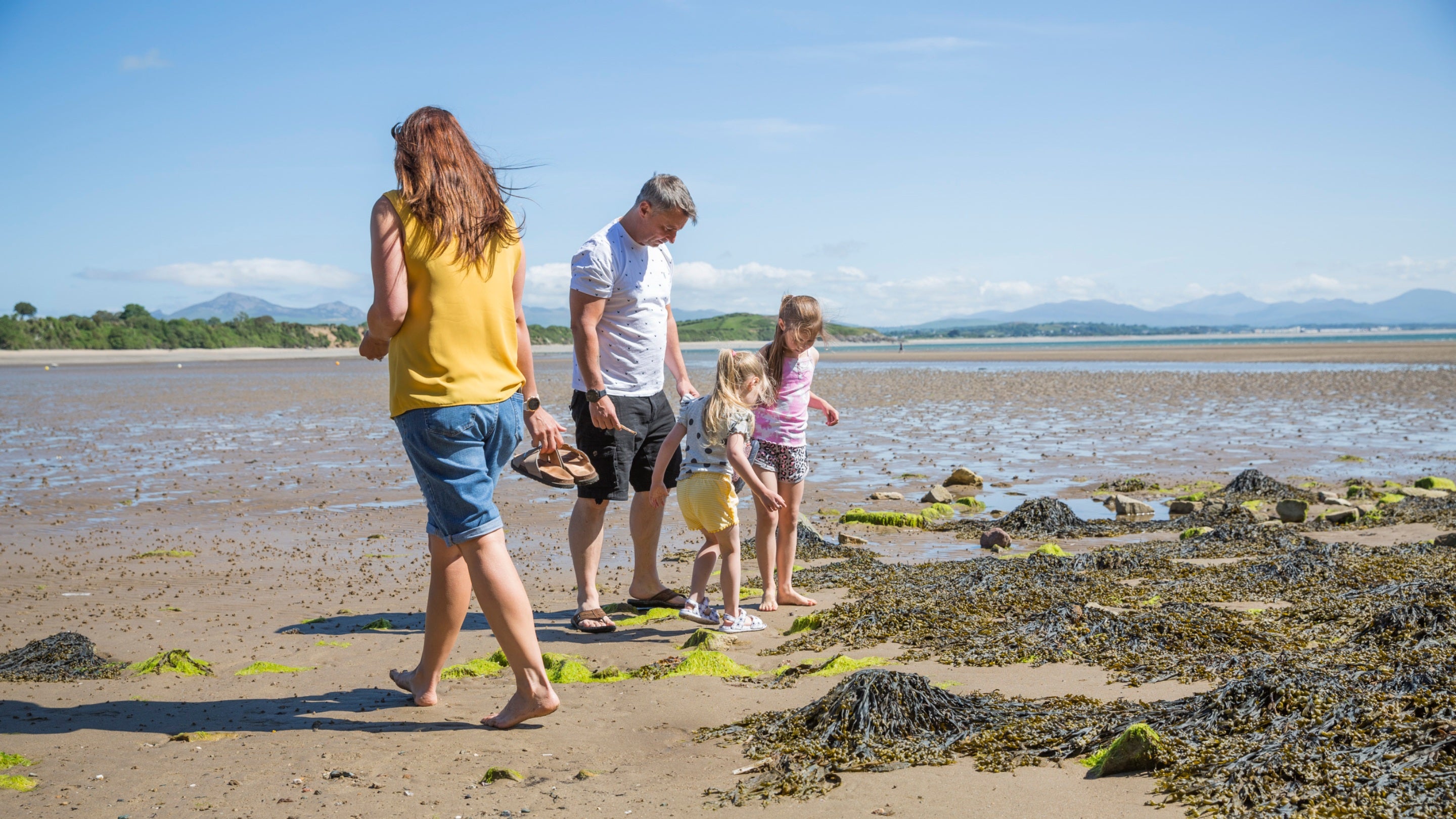 A family exploring the beach at Llanbedrog on a sunny day, with sand and seaweed on the beach, and the headland visible in the distance