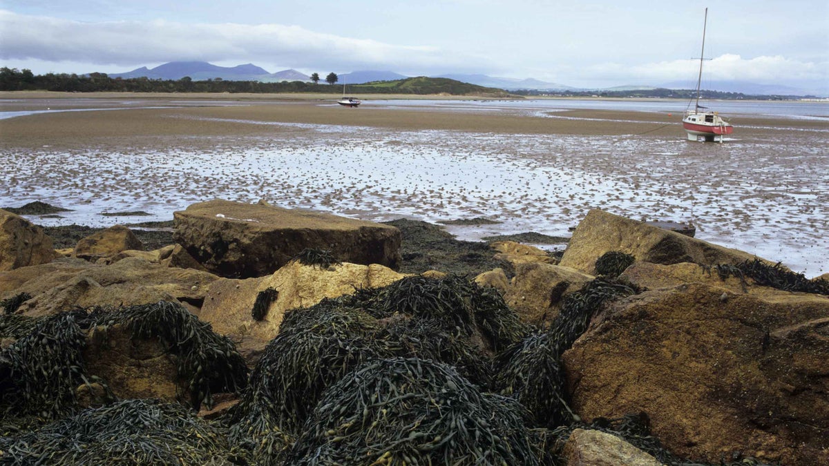 Llanbedrog walking trail Gwynedd Wales National Trust