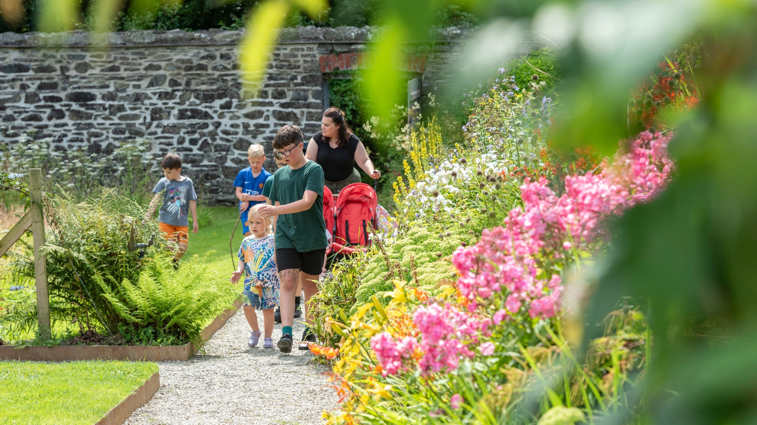 A family walking on a path in the walled garden at Llanerchaeron, Ceredigion